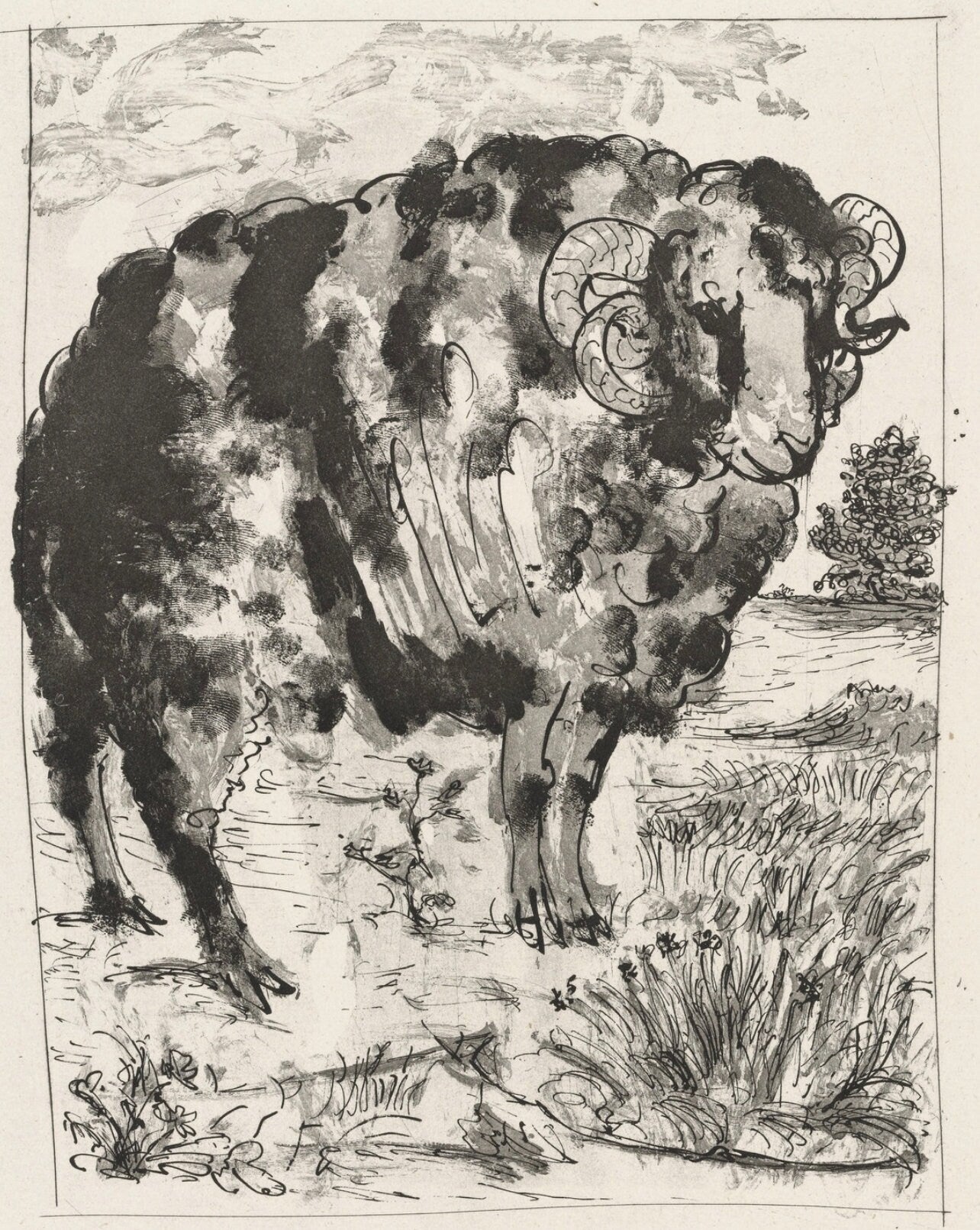 Pablo Picasso, Le Blier, Histoire Naturelle, Lithograph