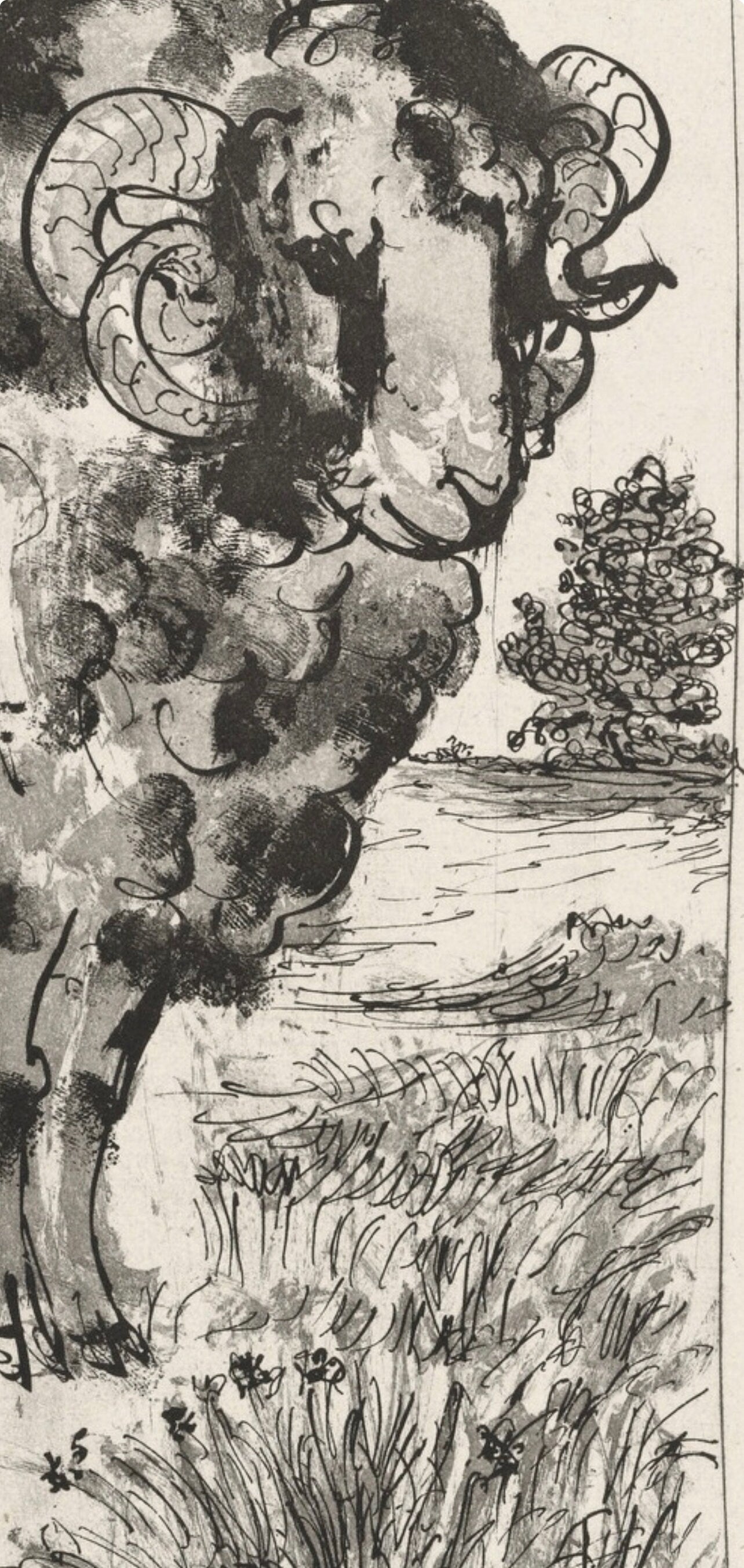 Pablo Picasso, Le Blier, Histoire Naturelle, Lithograph
