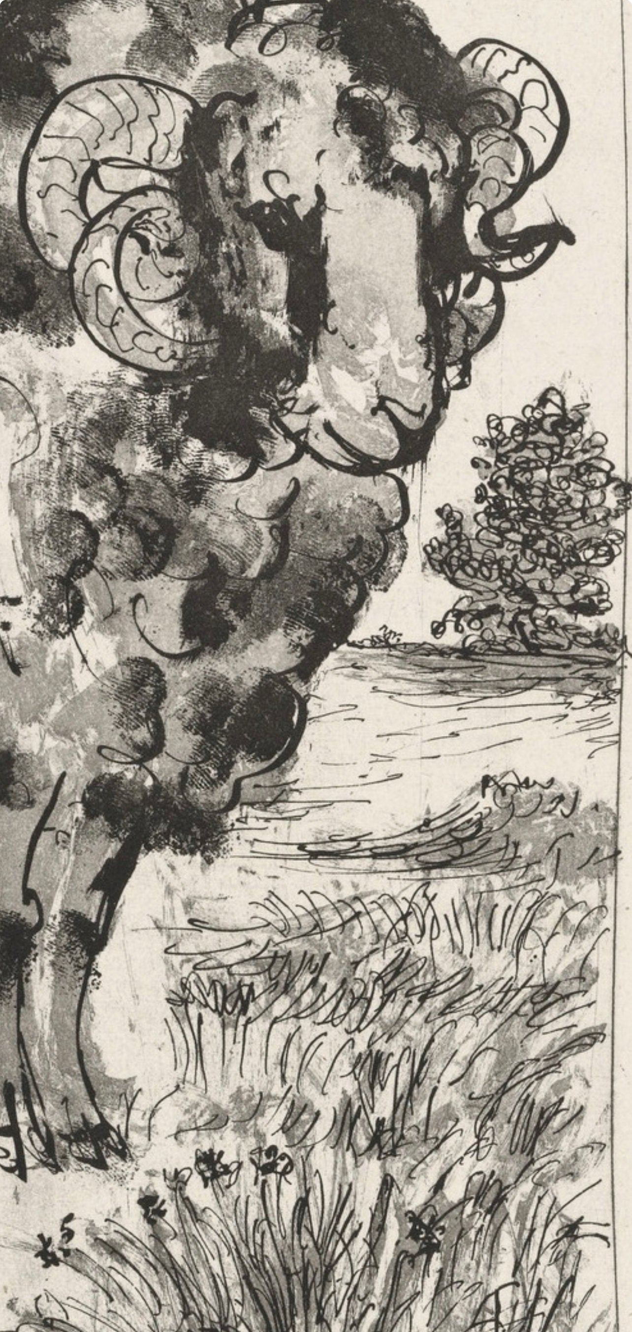 Pablo Picasso, Le Blier, Histoire Naturelle, Lithograph