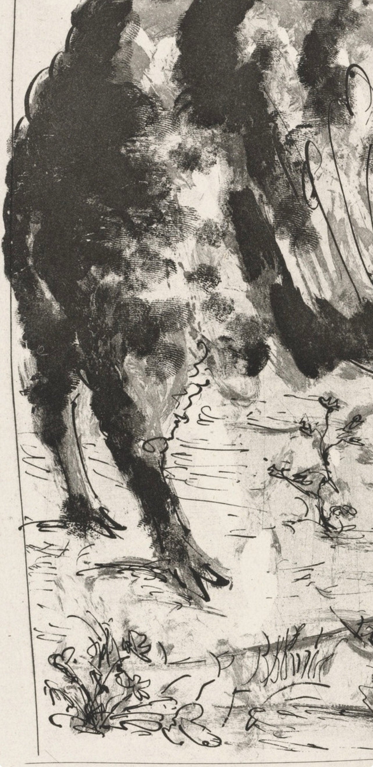 Pablo Picasso, Le Blier, Histoire Naturelle, Lithograph