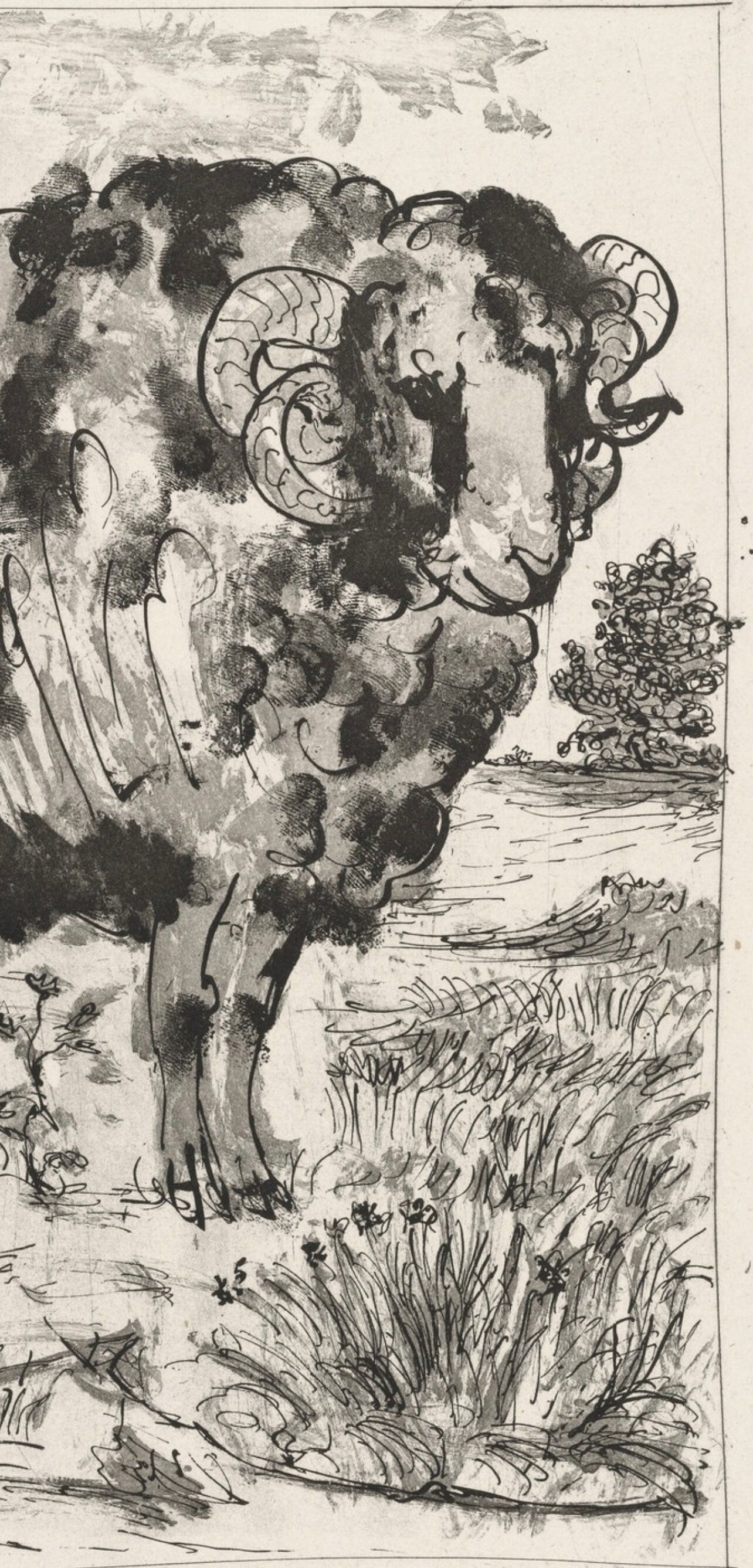 Pablo Picasso, Le Blier, Histoire Naturelle, Lithograph