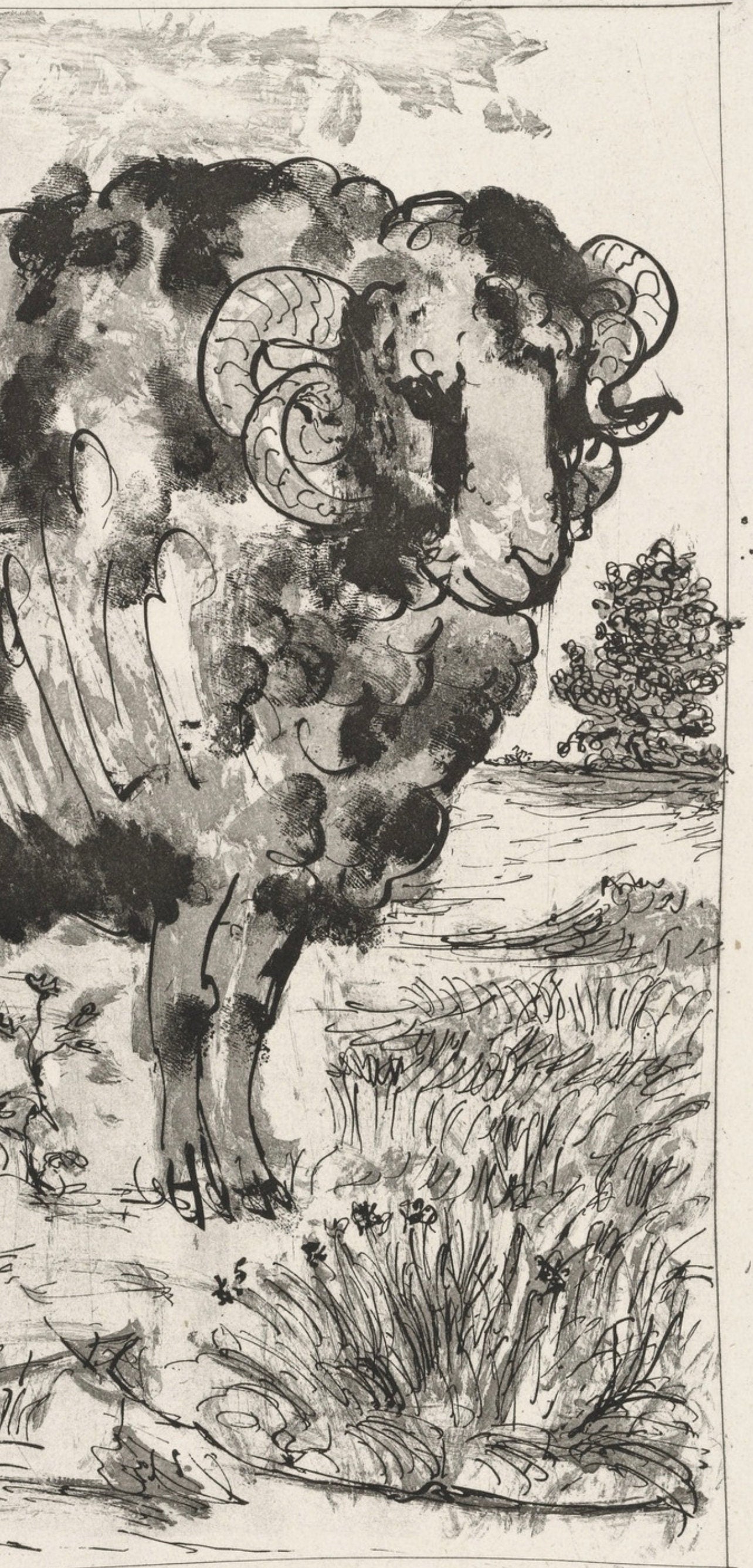 Pablo Picasso, Le Blier, Histoire Naturelle, Lithograph