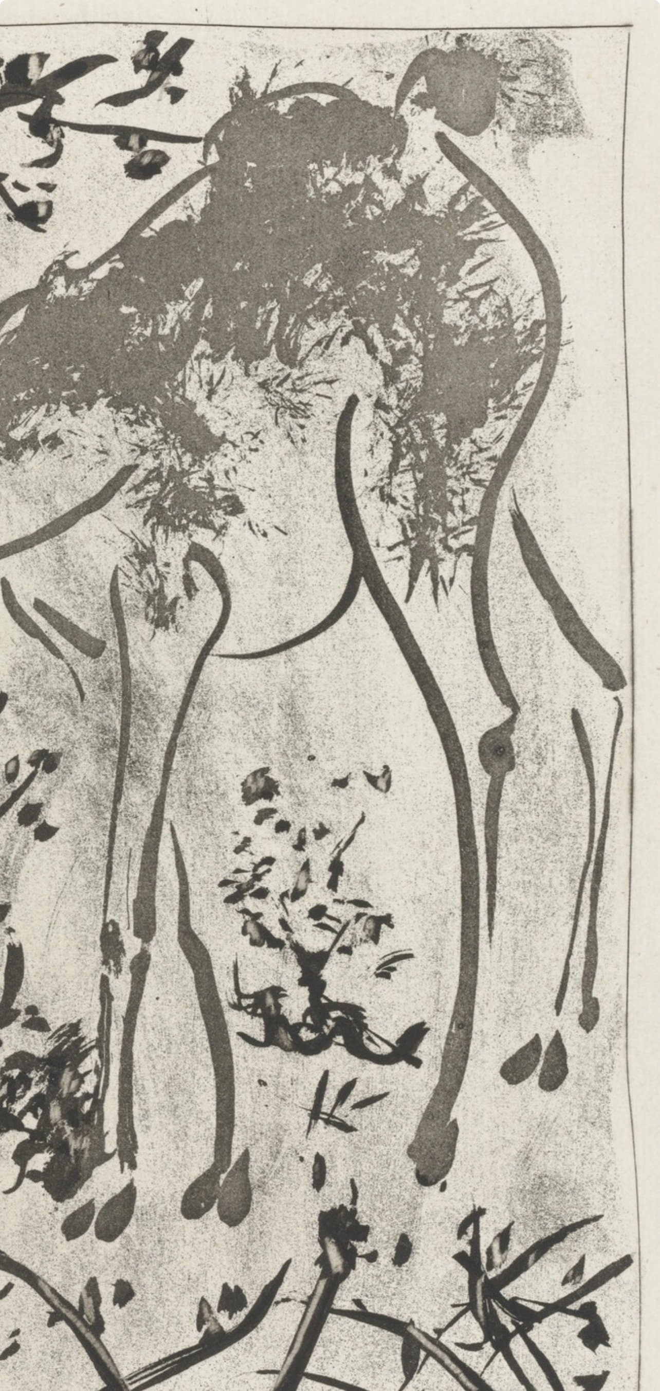 Pablo Picasso, Le Cerf, Histoire Naturelle, Lithograph