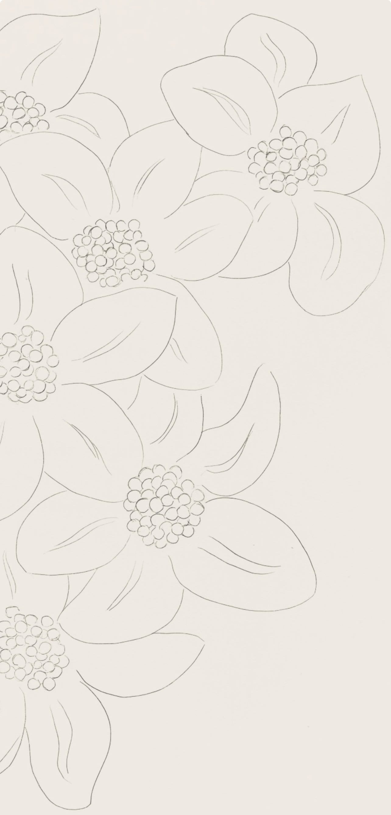 Henri Matisse, Les Fleurs (Flowers), Posies, Lithograph