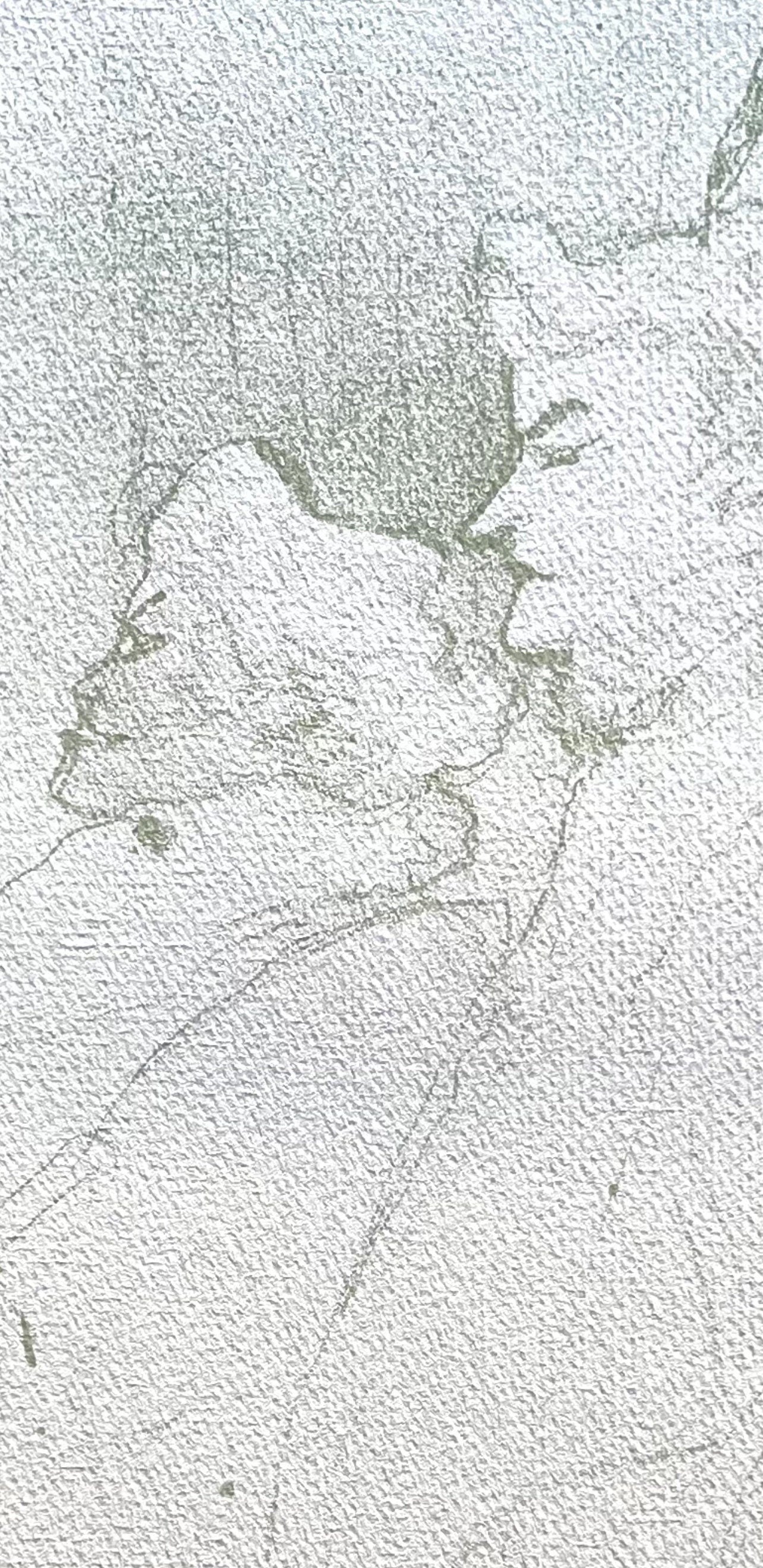 Henri De Toulouse-Lautrec, Pourquoi Pas, Tlautrec, Philadelphia Museum Of Art, Lithograph