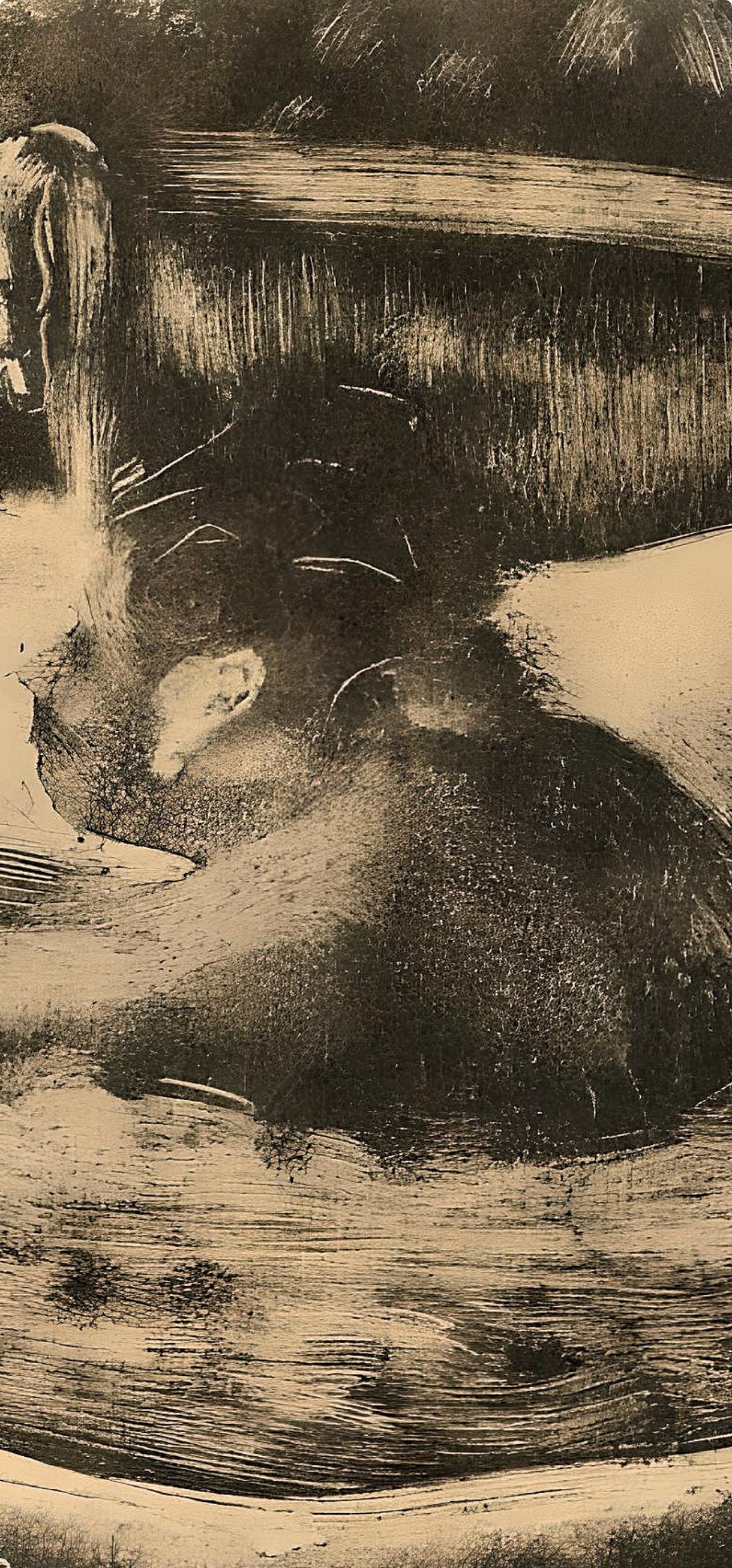 Edgar Degas, Le Bain, E. Degas Monotypes, Monotype