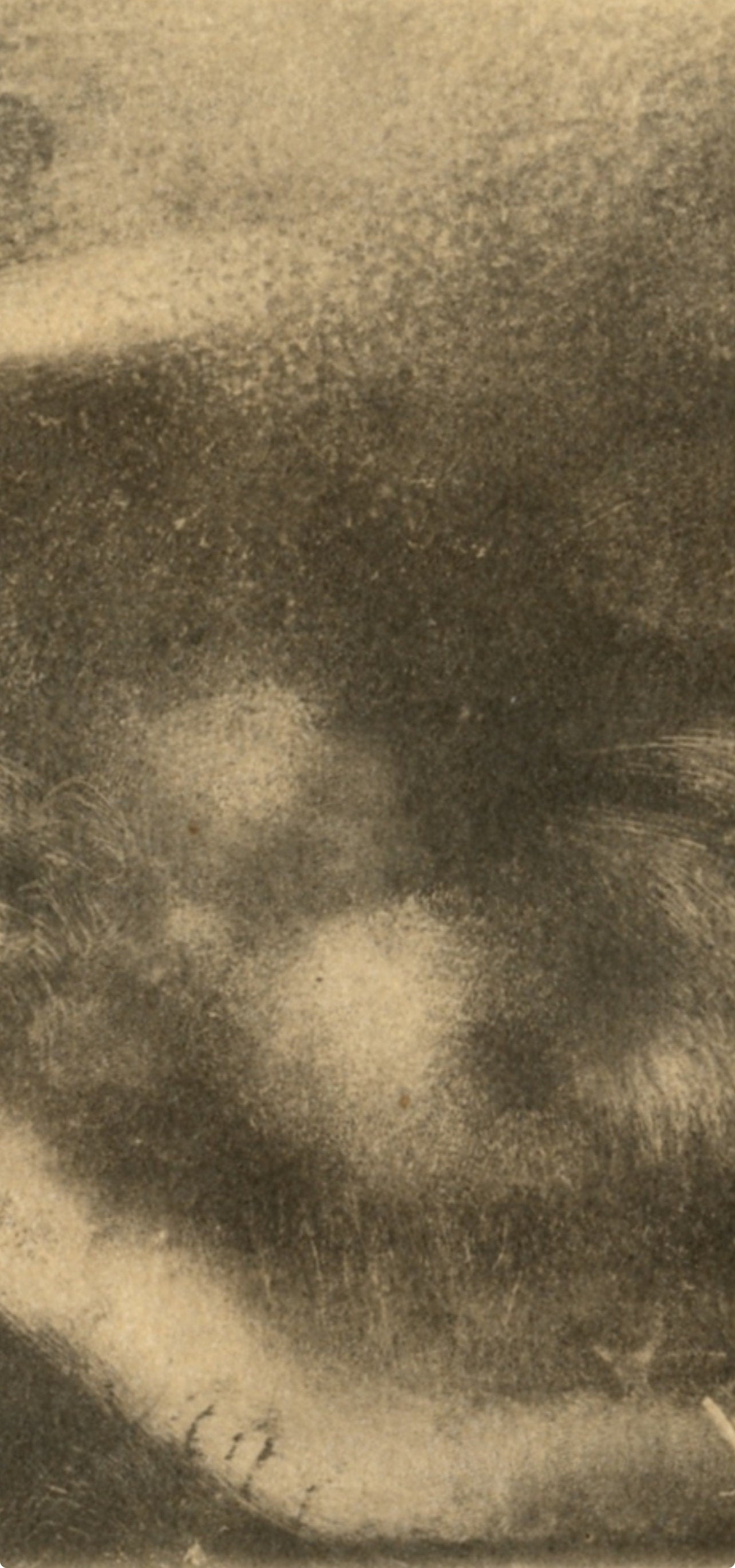 Edgar Degas, Nu Couche, E. Degas Monotypes, Monotype