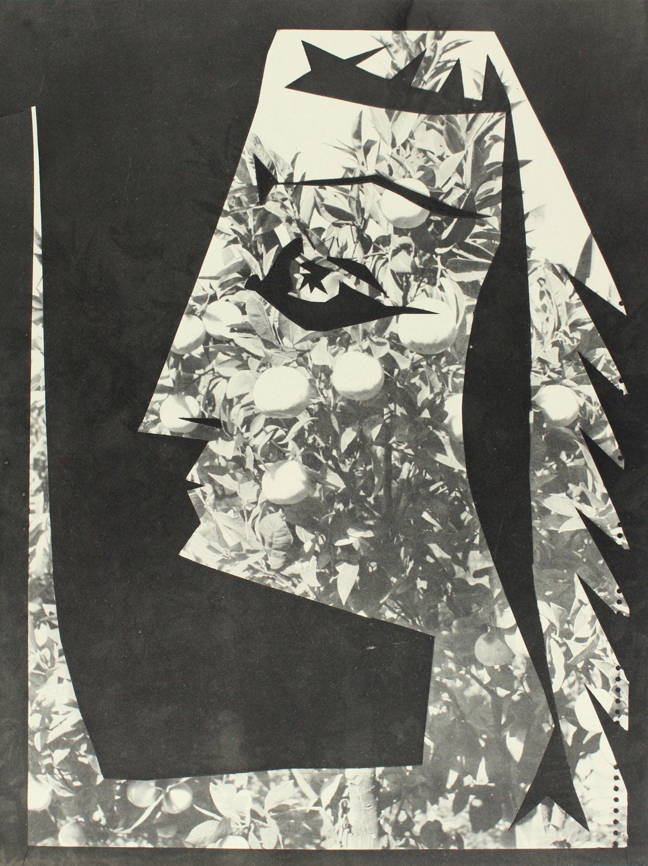 Pablo Picasso, Composition (Bloch 112; Kibbey 1466; Goeppert 115), Diurnes Dcoupages Et