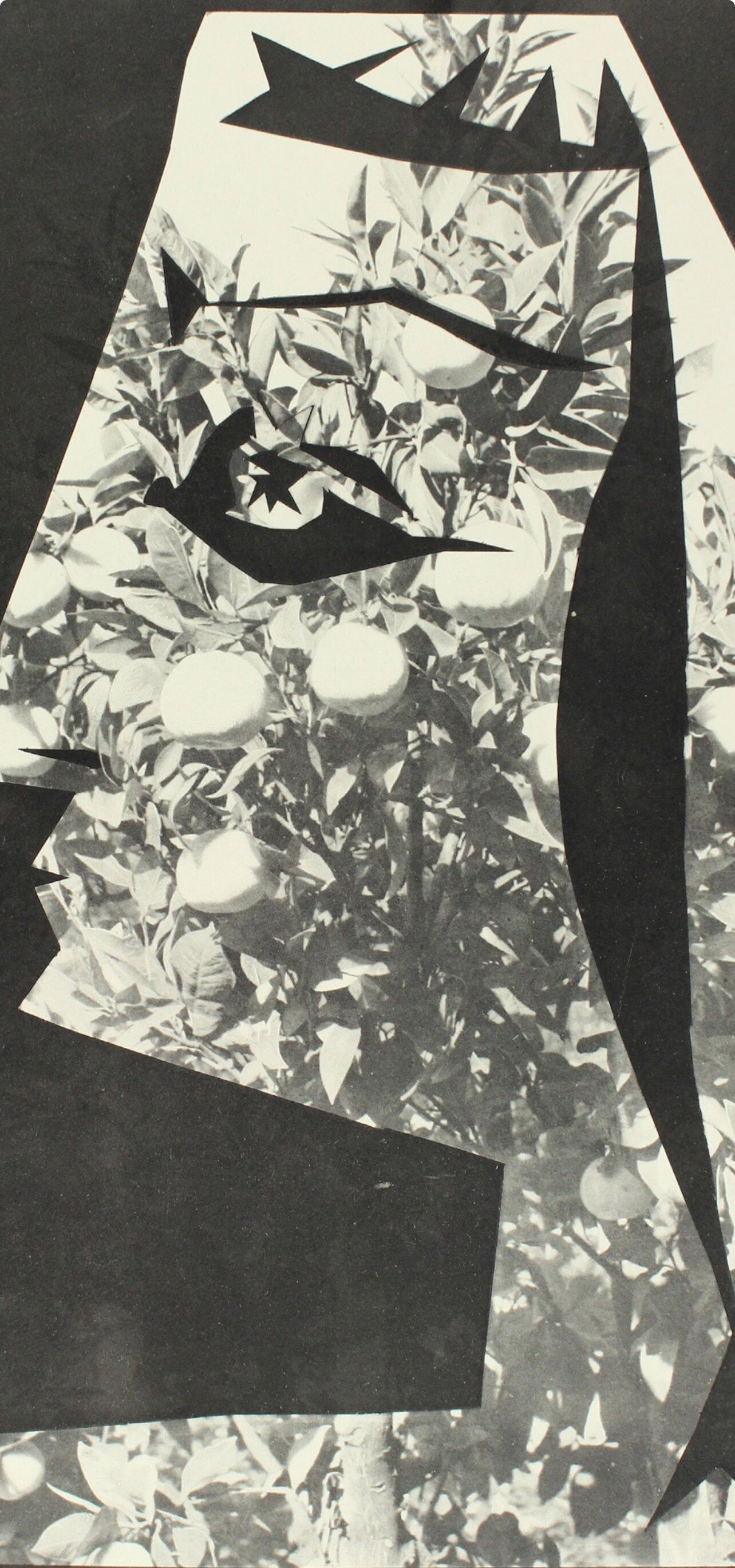 Pablo Picasso, Composition (Bloch 112; Kibbey 1466; Goeppert 115), Diurnes Dcoupages Et