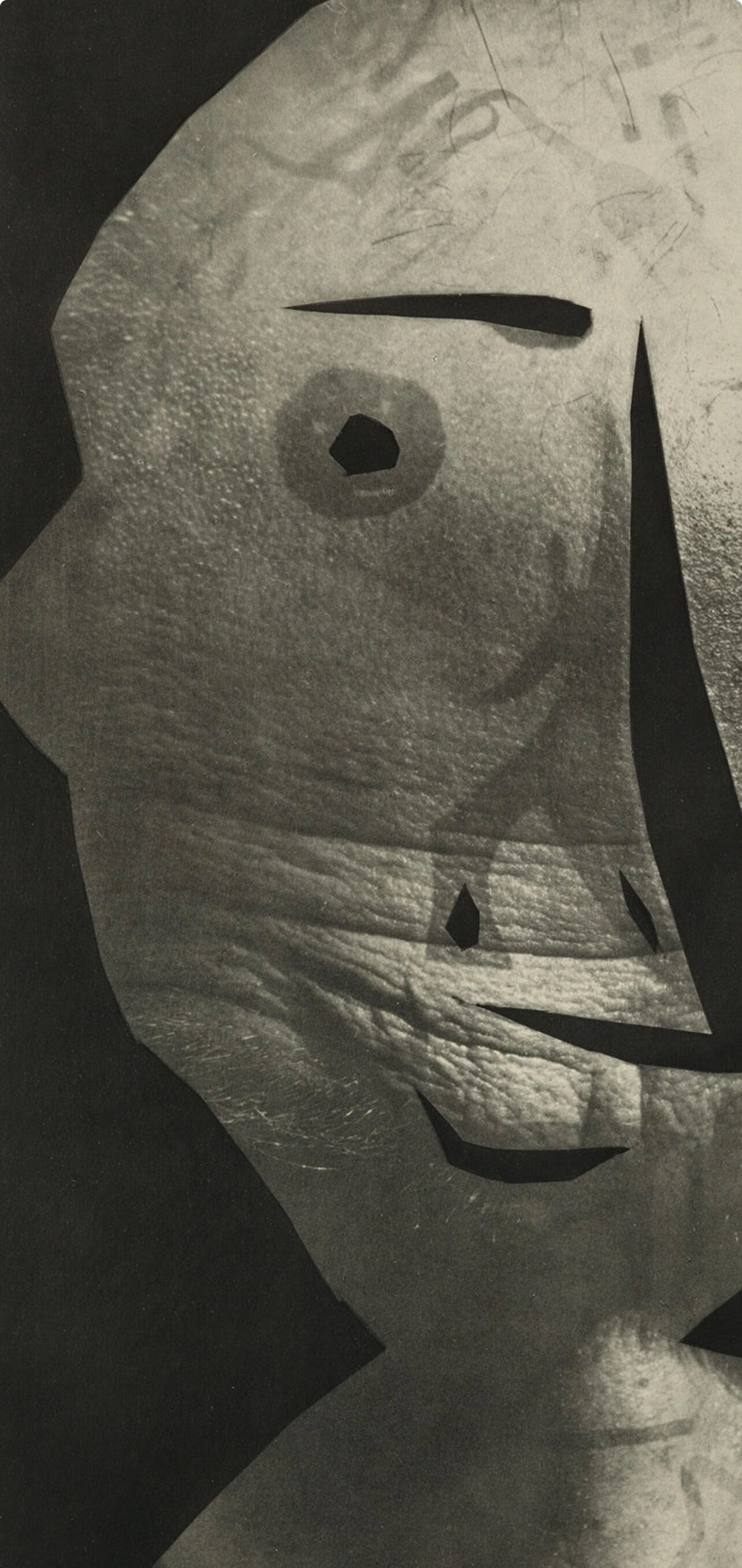 Pablo Picasso, Composition (Bloch 112; Kibbey 1466; Goeppert 115), Diurnes Dcoupages Et