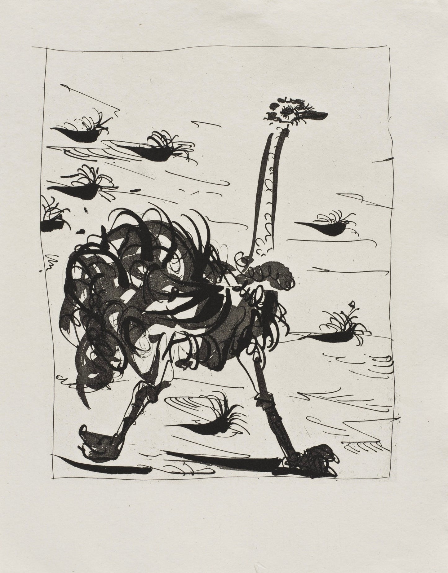 Pablo Picasso, L'Autruche, Histoire Naturelle, Lithograph