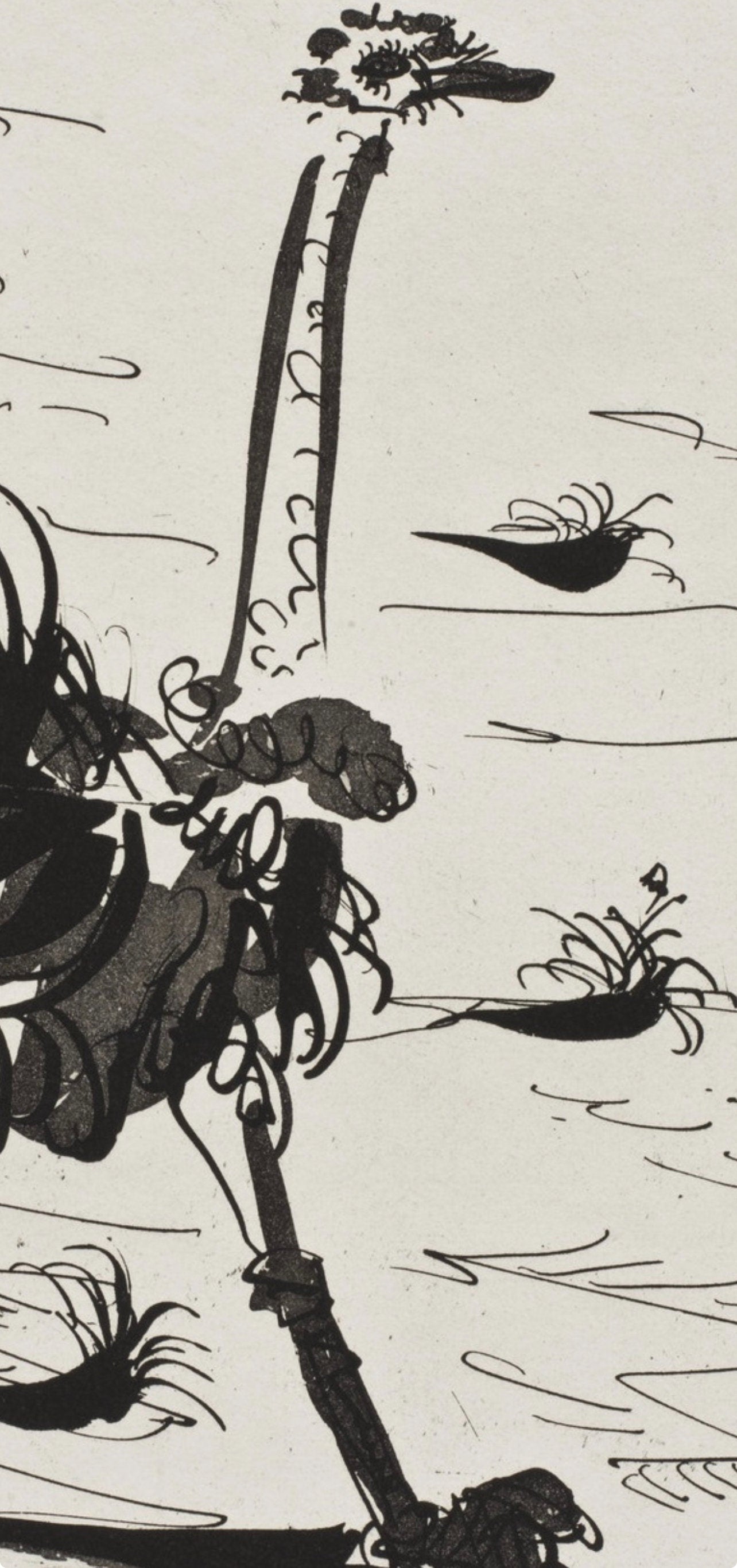 Pablo Picasso, L'Autruche, Histoire Naturelle, Lithograph