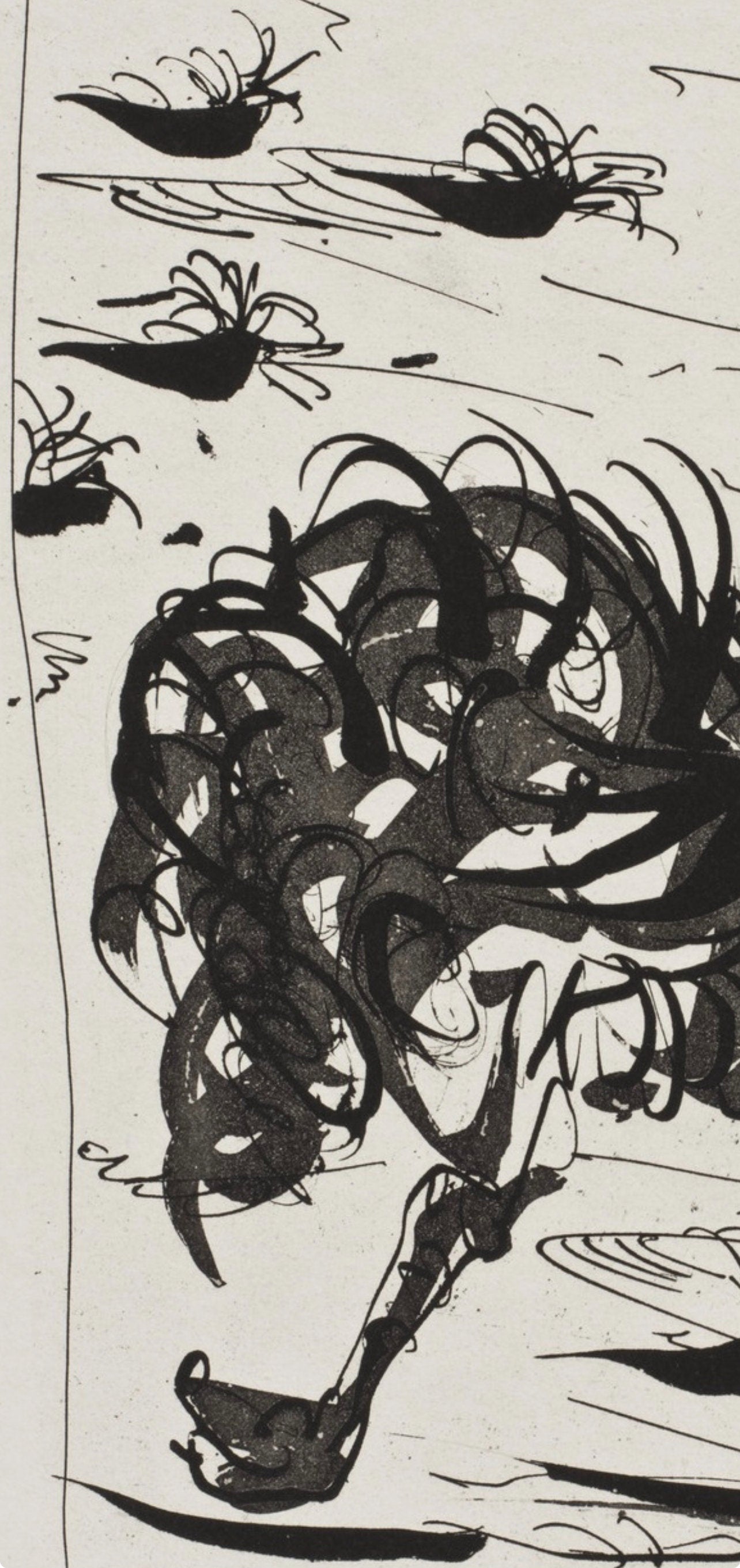 Pablo Picasso, L'Autruche, Histoire Naturelle, Lithograph