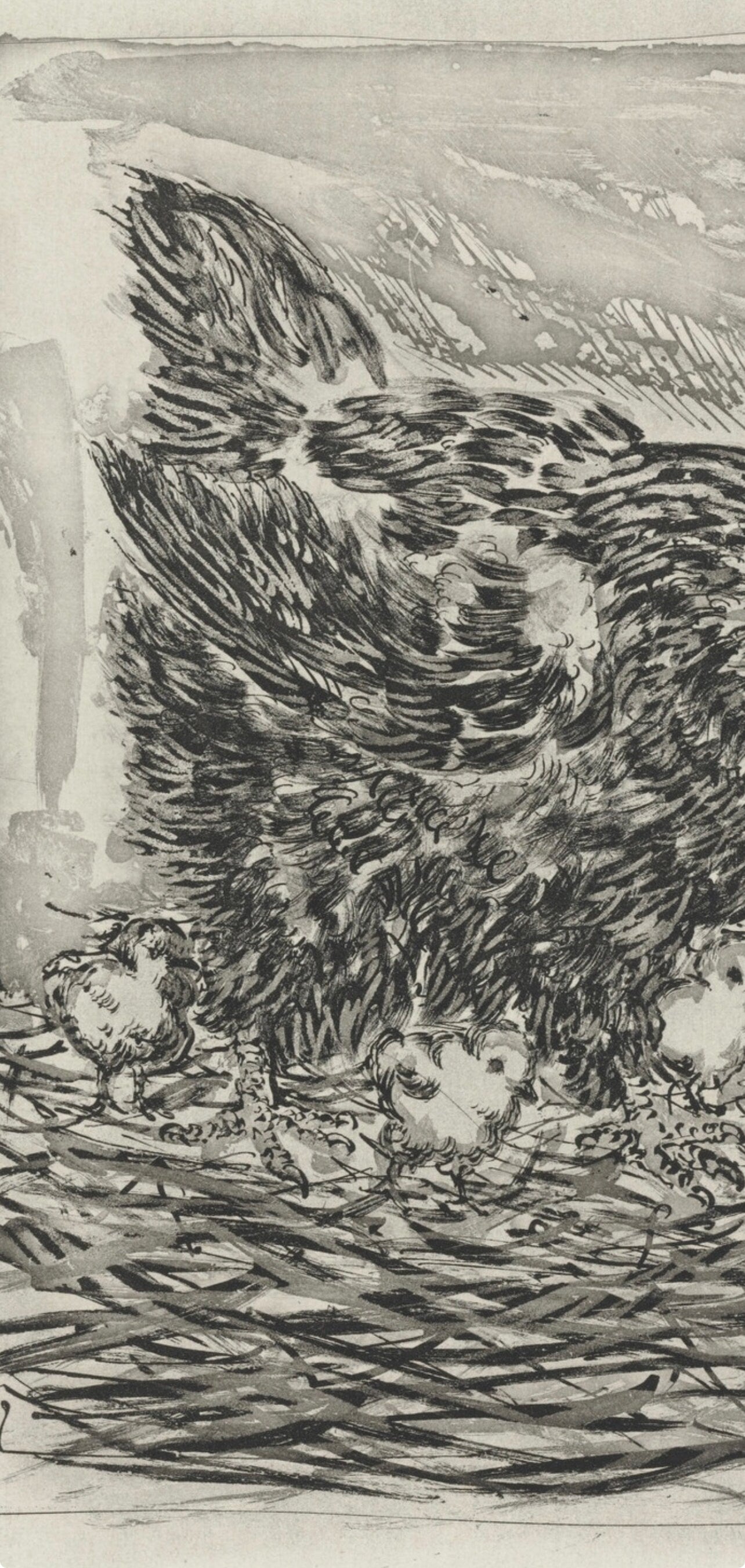 Pablo Picasso, La Mre Poule, Histoire Naturelle, Lithograph