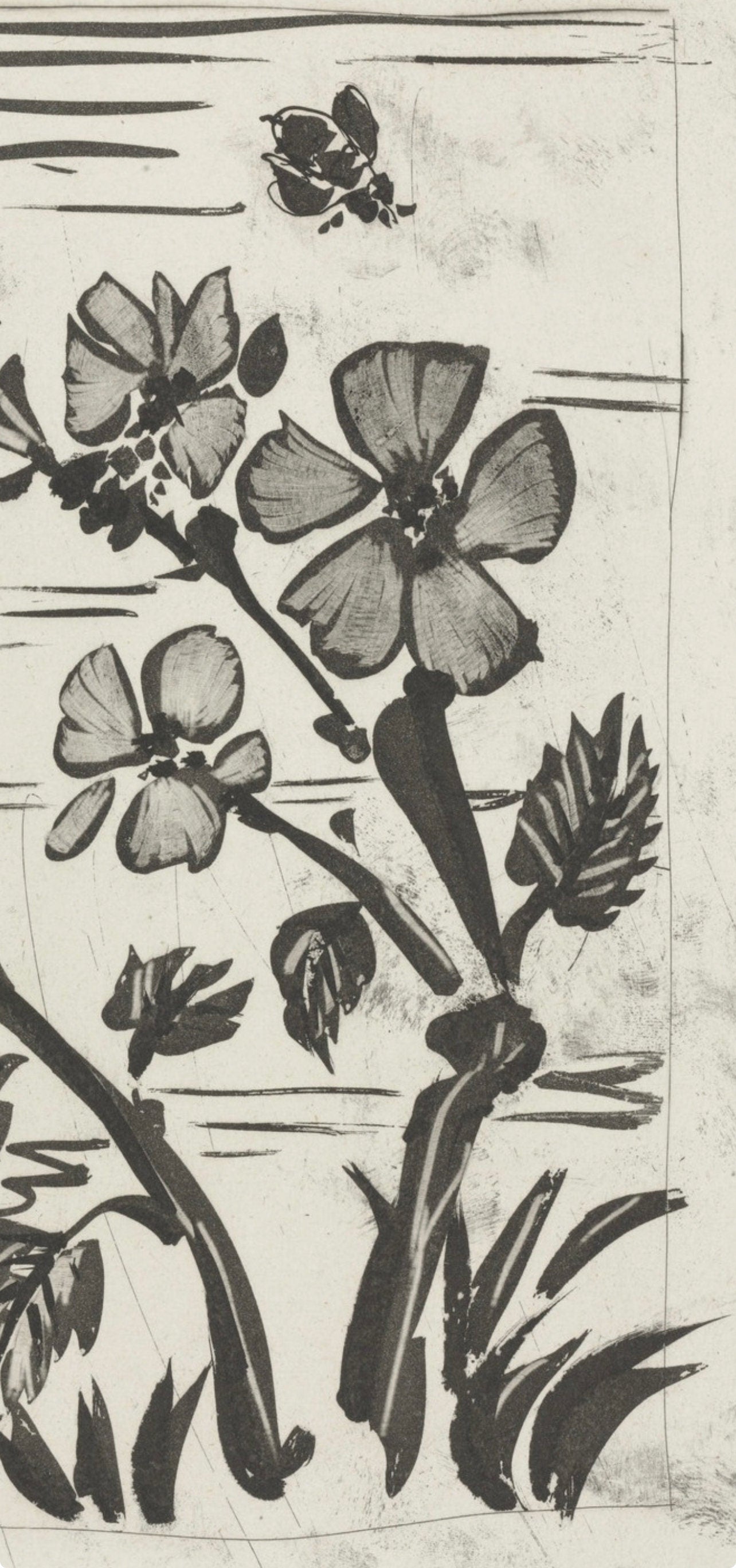 Pablo Picasso, L'Abeille, Histoire Naturelle, Lithograph