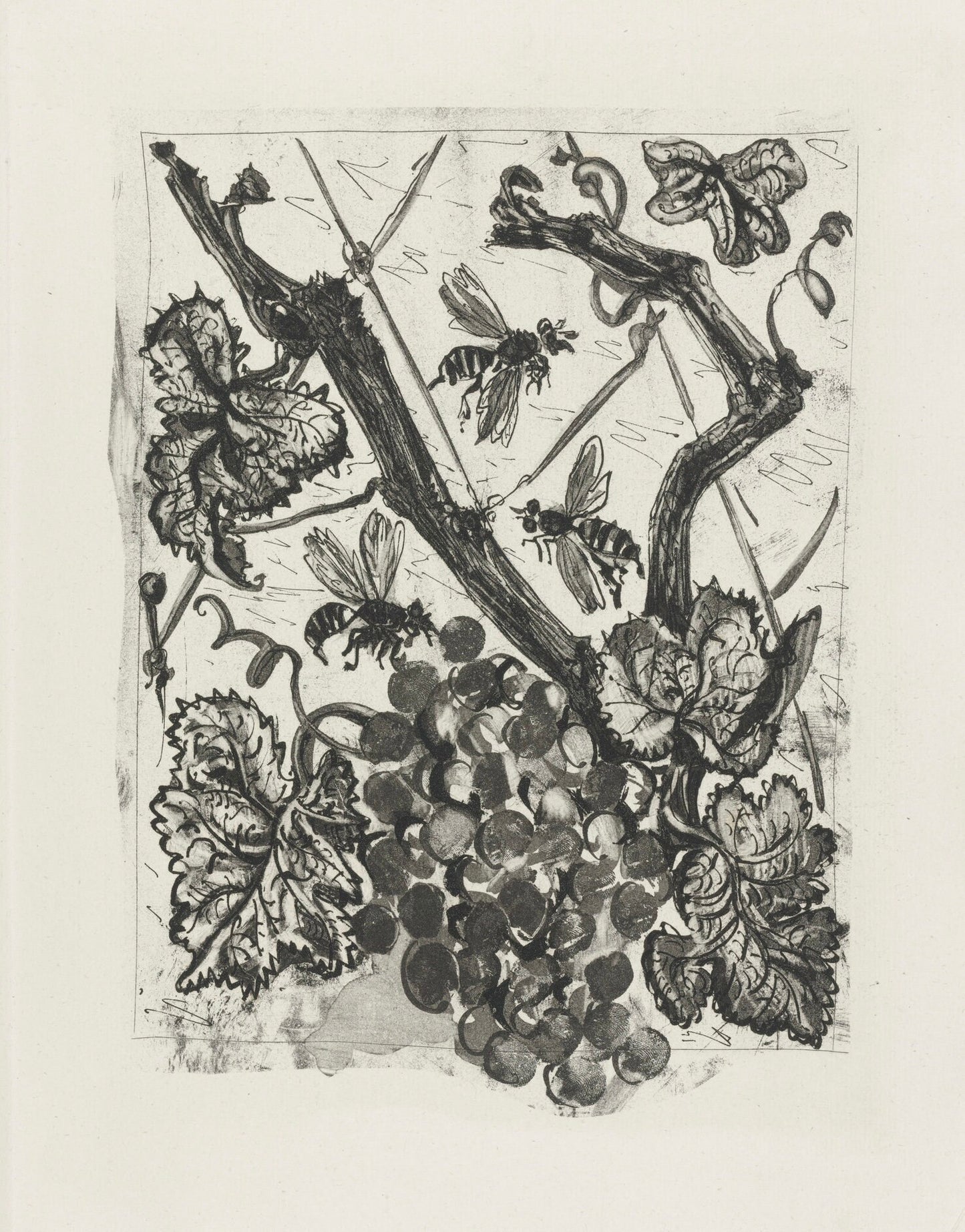 Pablo Picasso, La Gupe, Histoire Naturelle, Lithograph