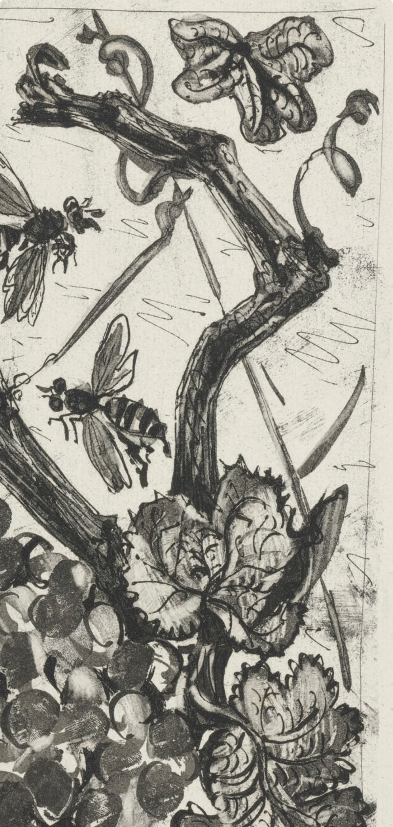 Pablo Picasso, La Gupe, Histoire Naturelle, Lithograph