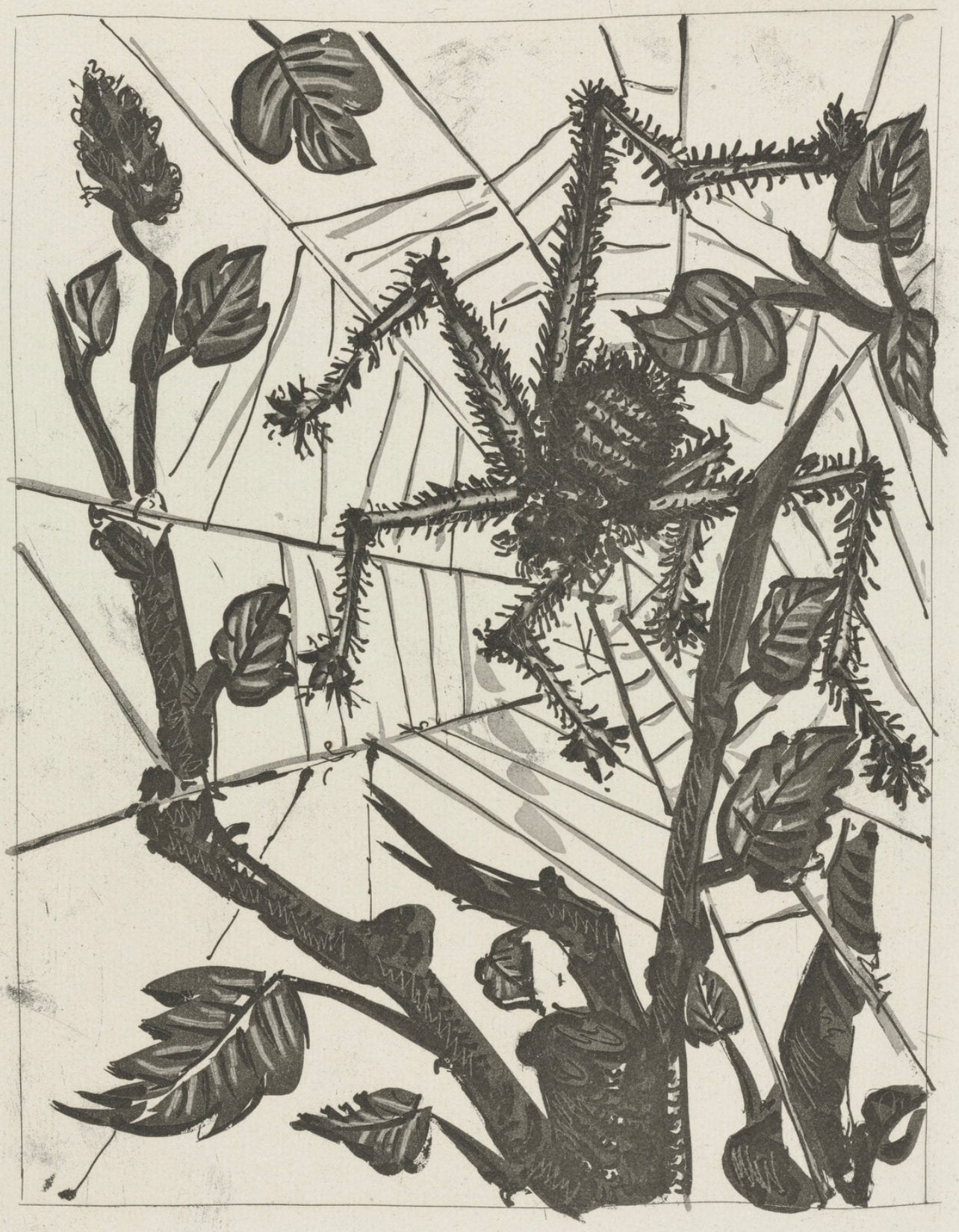 Pablo Picasso, L'Araigne, Histoire Naturelle, Lithograph