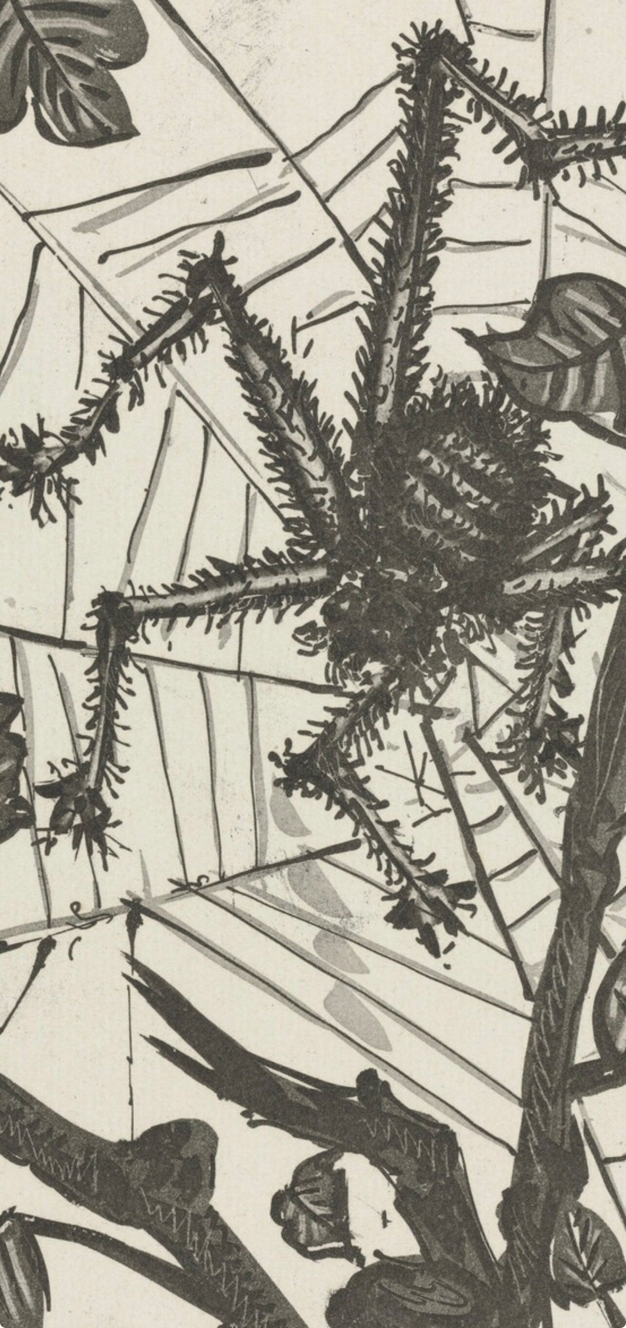Pablo Picasso, L'Araigne, Histoire Naturelle, Lithograph