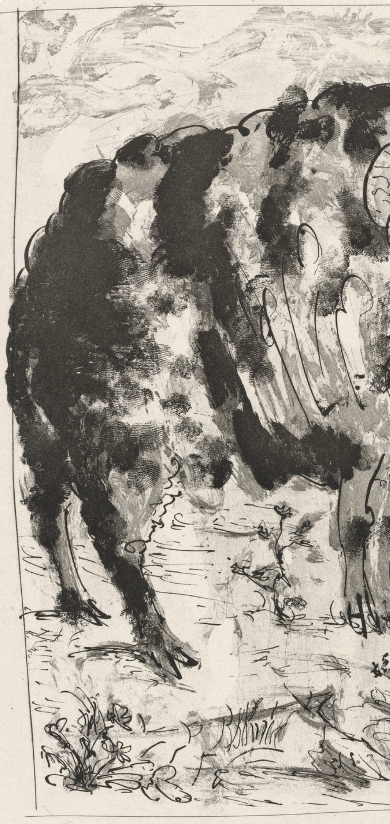 Pablo Picasso, Le Blier, Histoire Naturelle, Lithograph