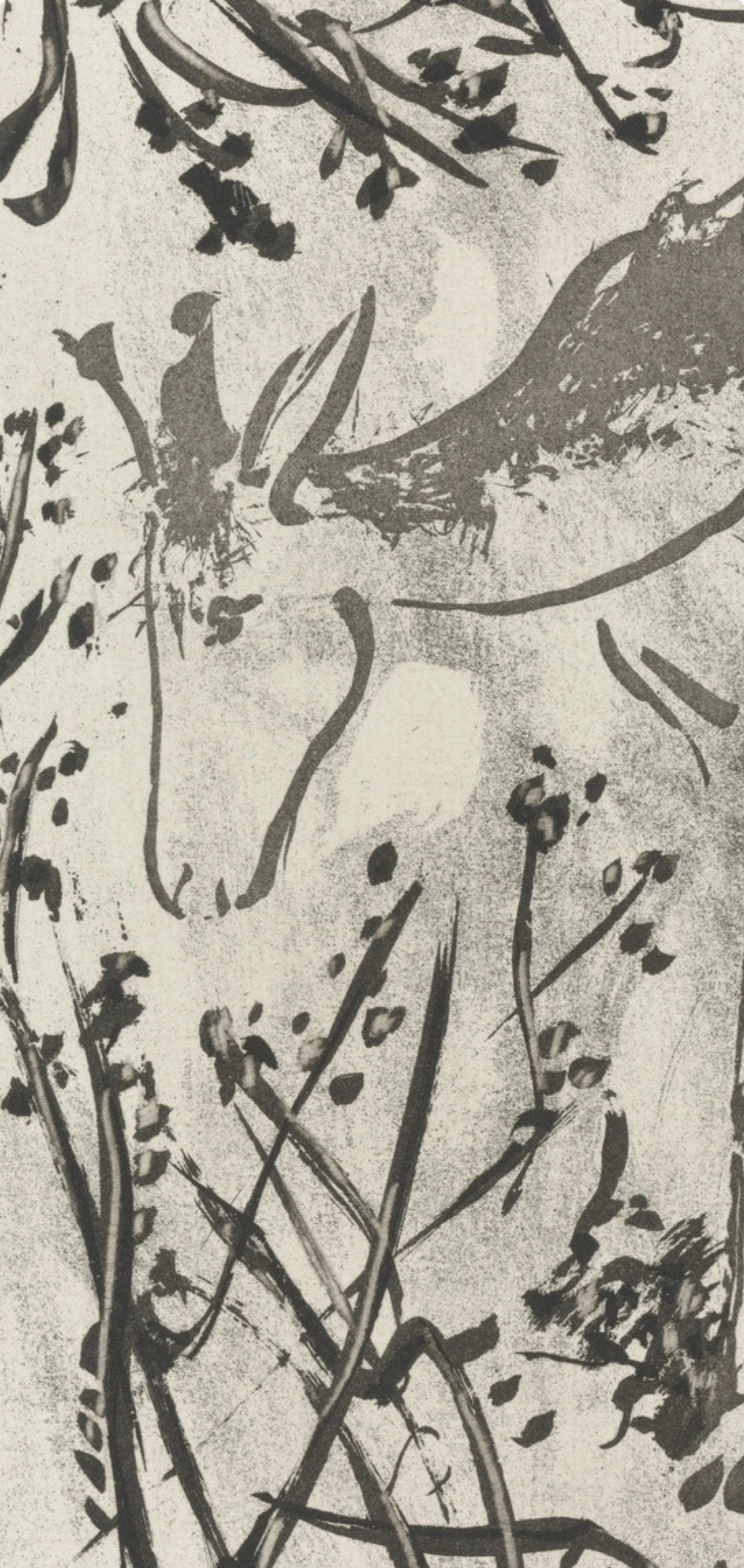 Pablo Picasso, Le Cerf, Histoire Naturelle, Lithograph