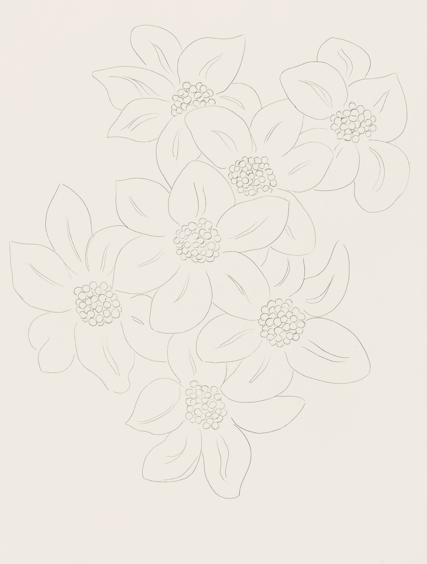 Henri Matisse, Les Fleurs (Flowers), Posies, Lithograph