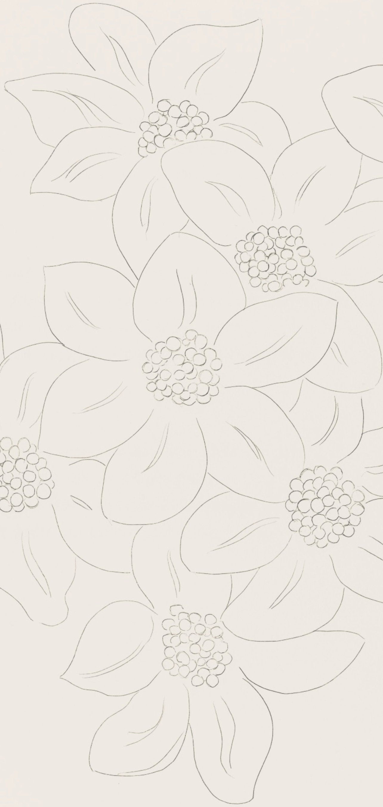 Henri Matisse, Les Fleurs (Flowers), Posies, Lithograph