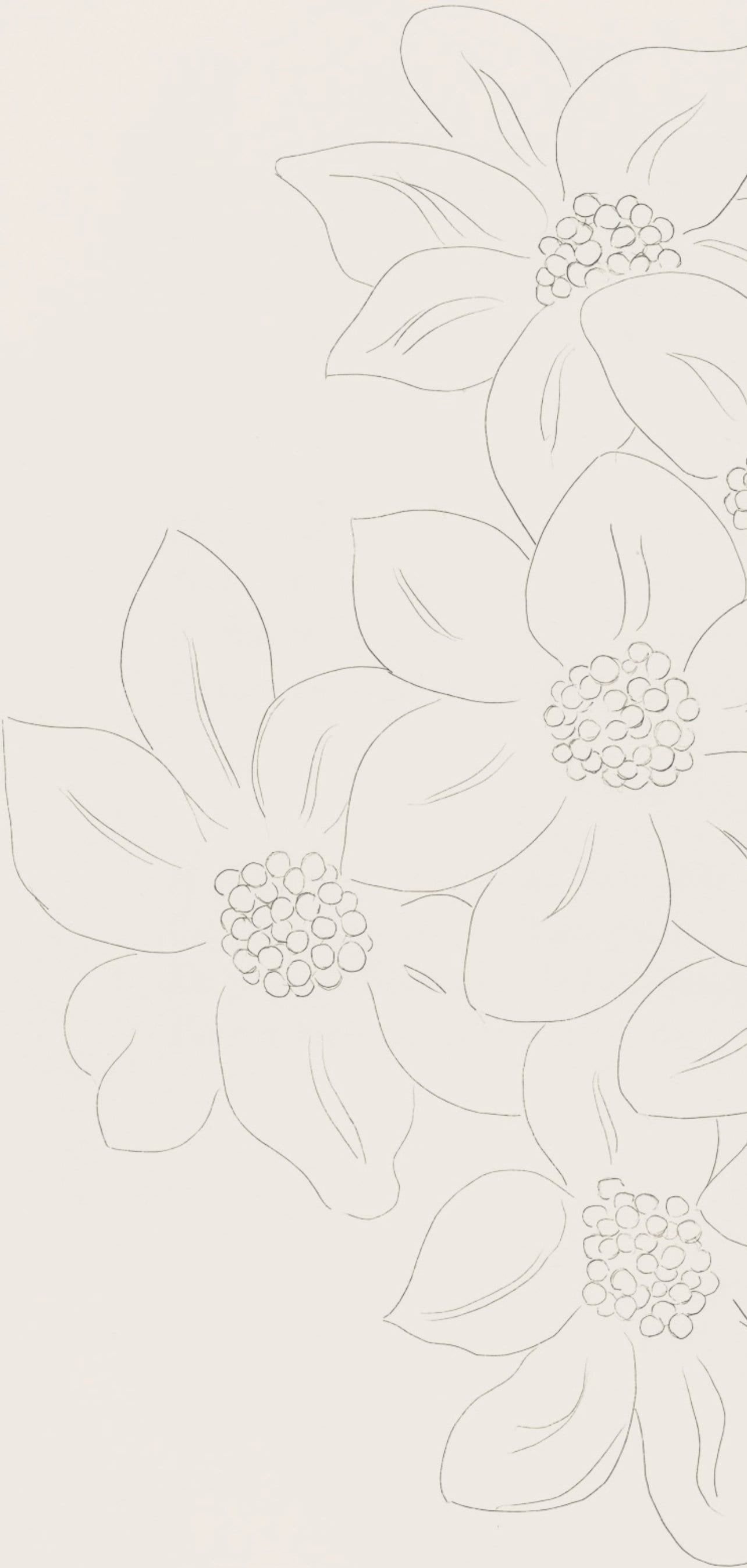 Henri Matisse, Les Fleurs (Flowers), Posies, Lithograph