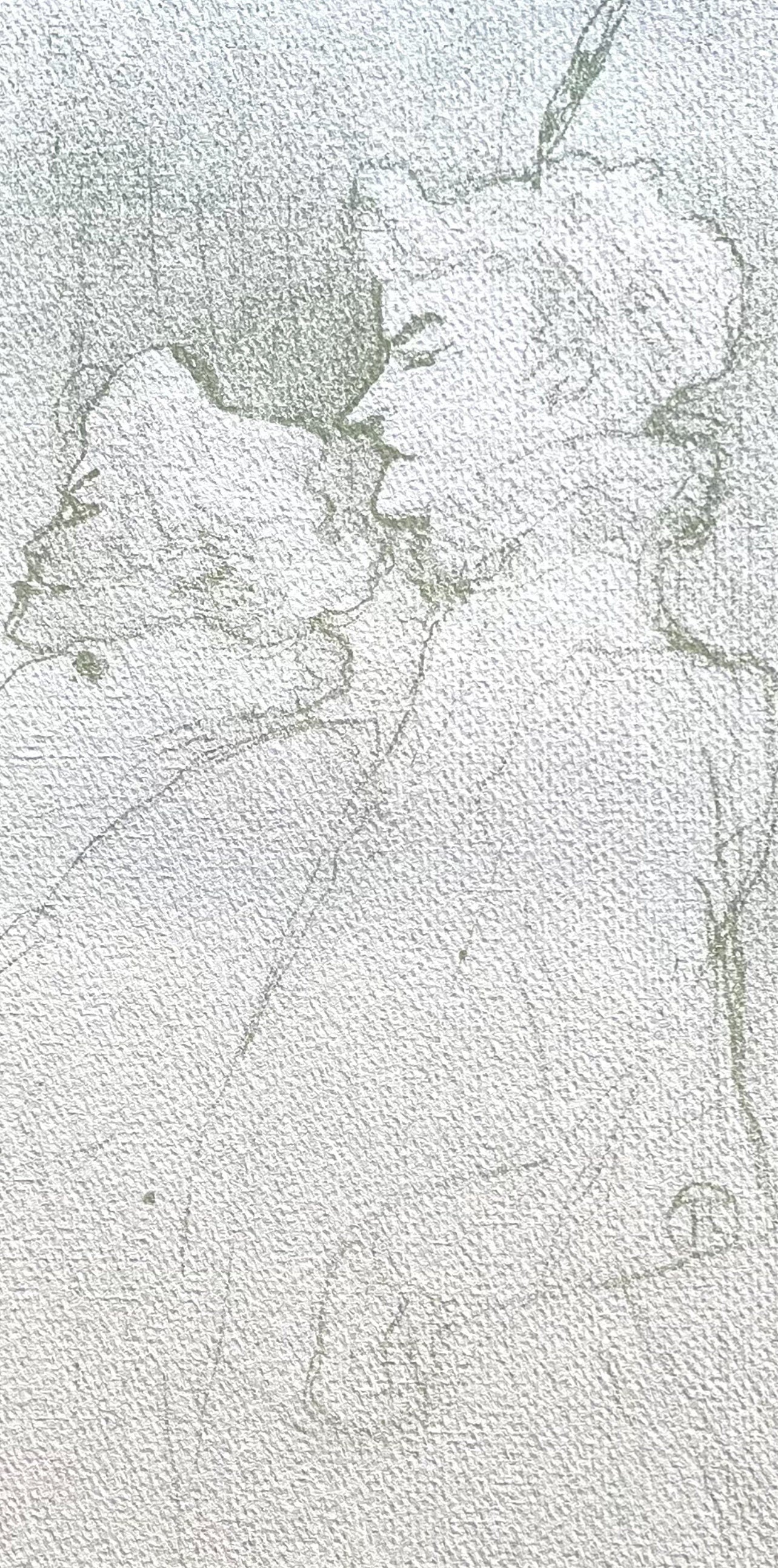 Henri De Toulouse-Lautrec, Pourquoi Pas, Tlautrec, Philadelphia Museum Of Art, Lithograph