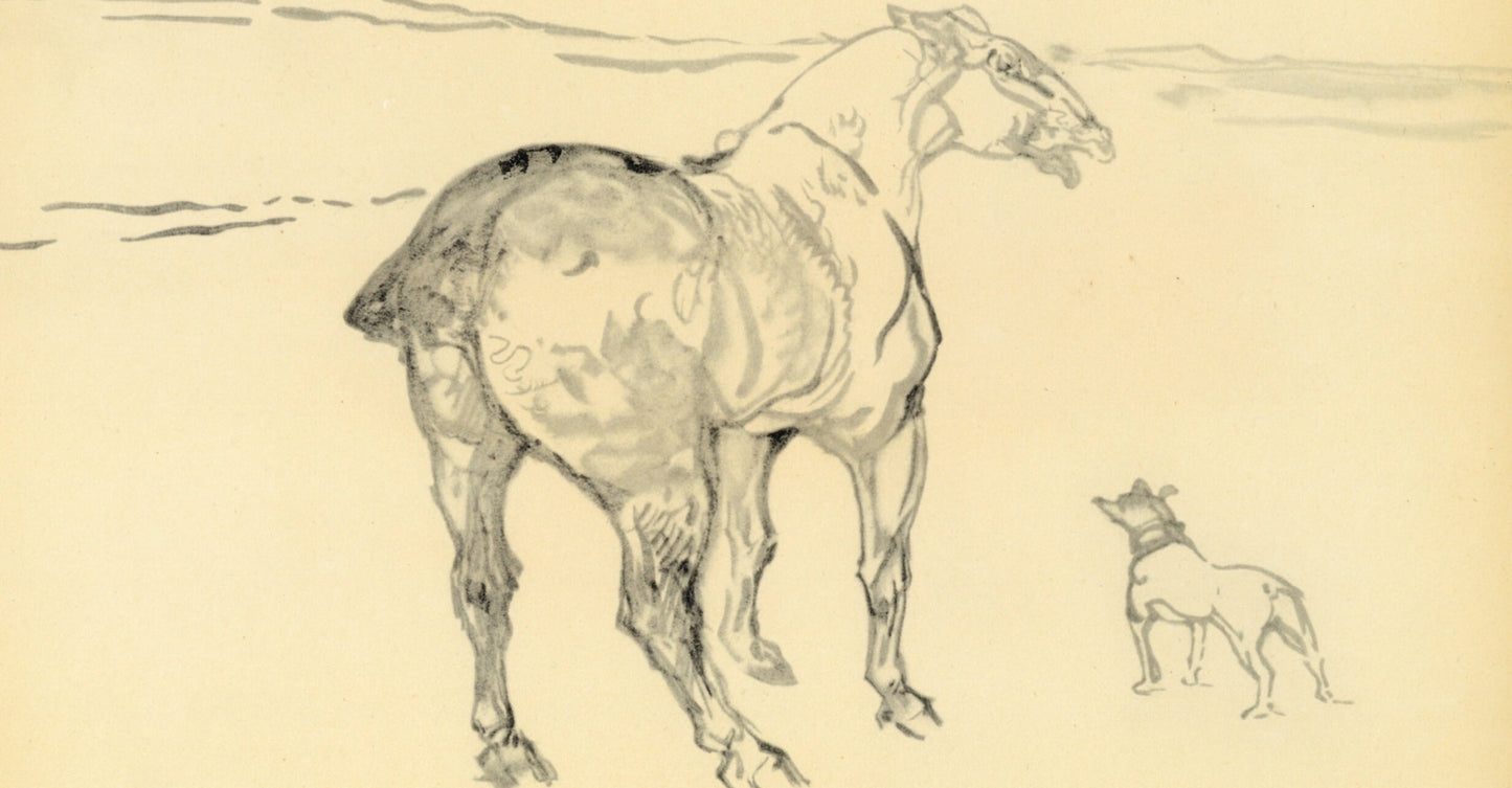 Henri De Toulouse-Lautrec, Un Petit Cob, The Circus By Toulouse-Lautrec, Lithograph