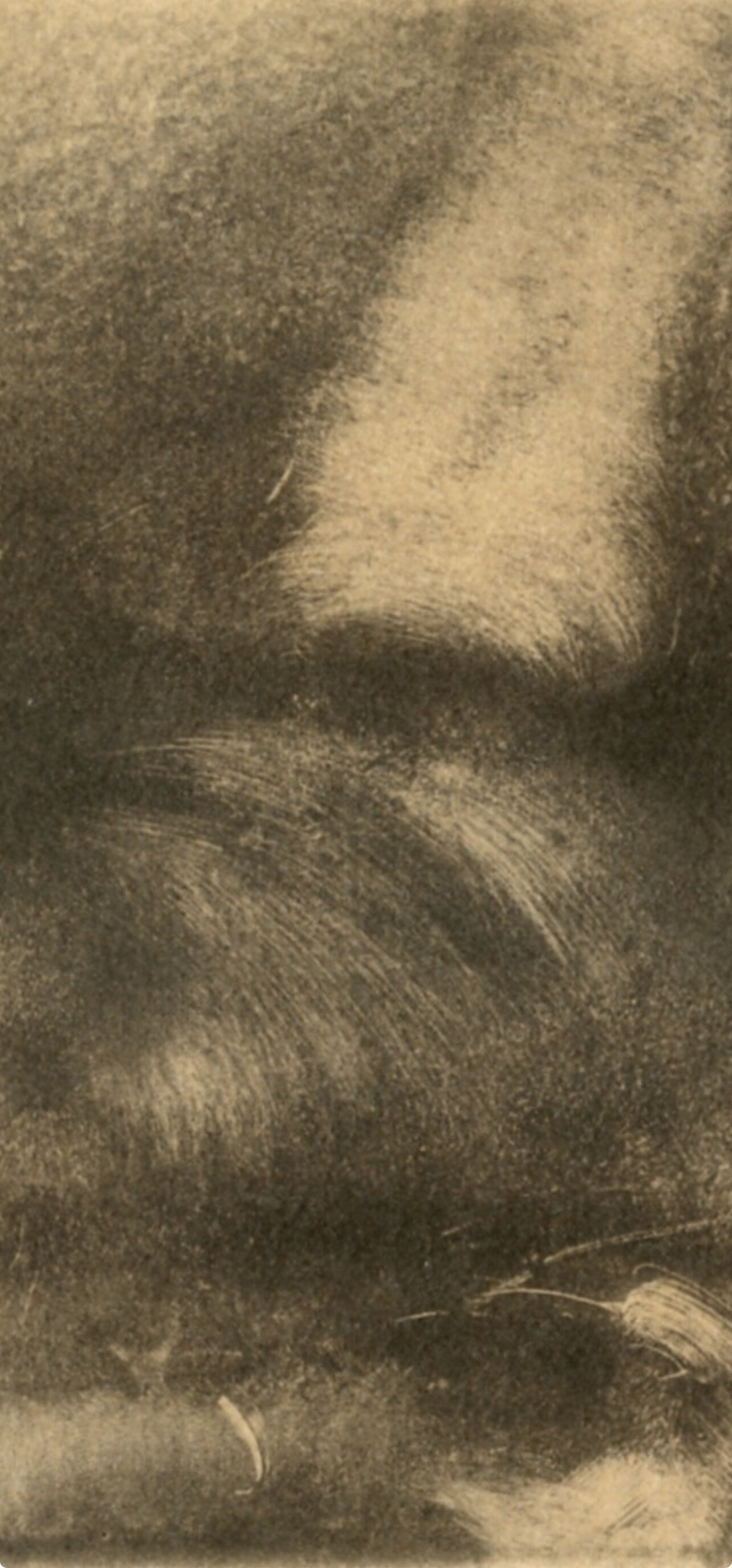 Edgar Degas, Nu Couche, E. Degas Monotypes, Monotype