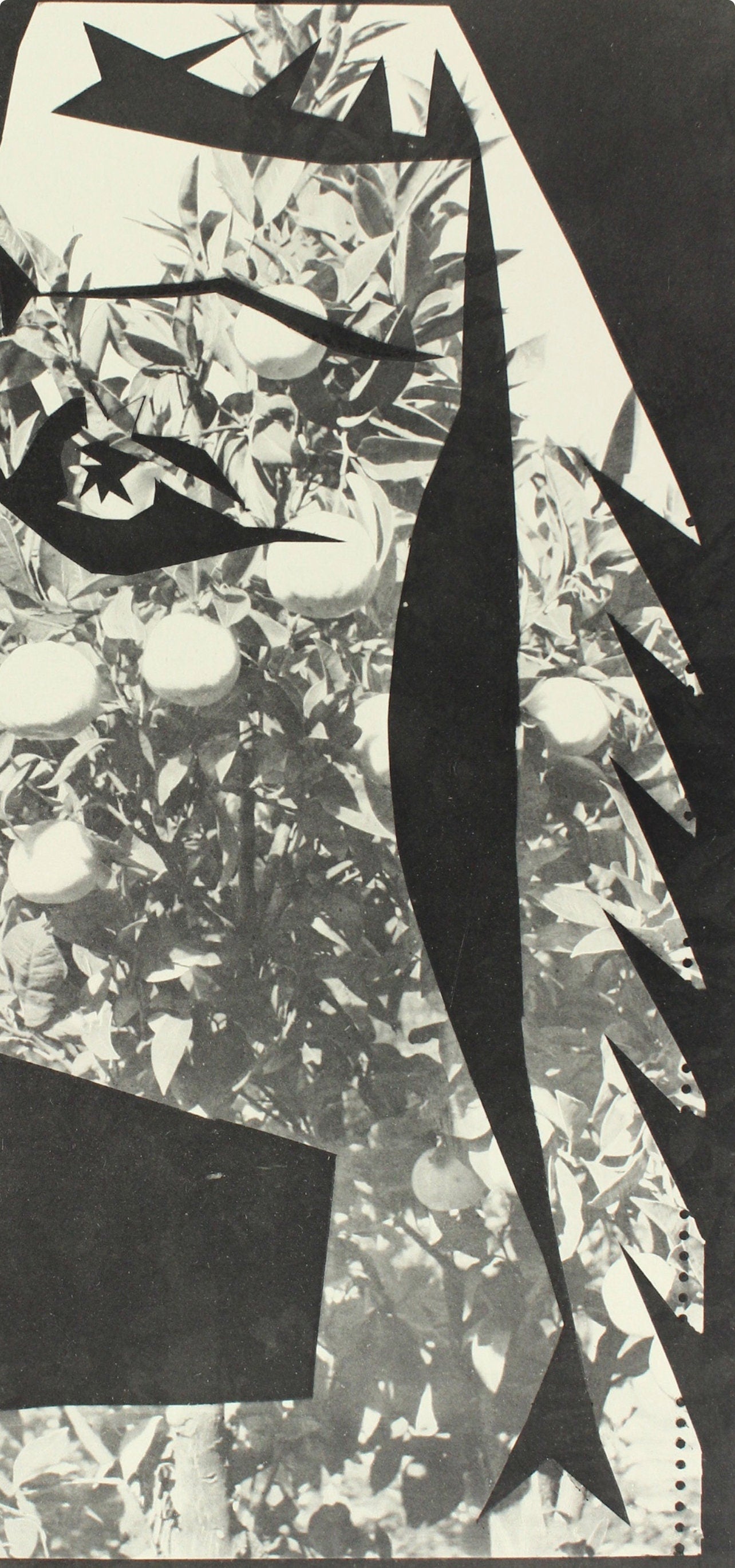 Pablo Picasso, Composition (Bloch 112; Kibbey 1466; Goeppert 115), Diurnes Dcoupages Et