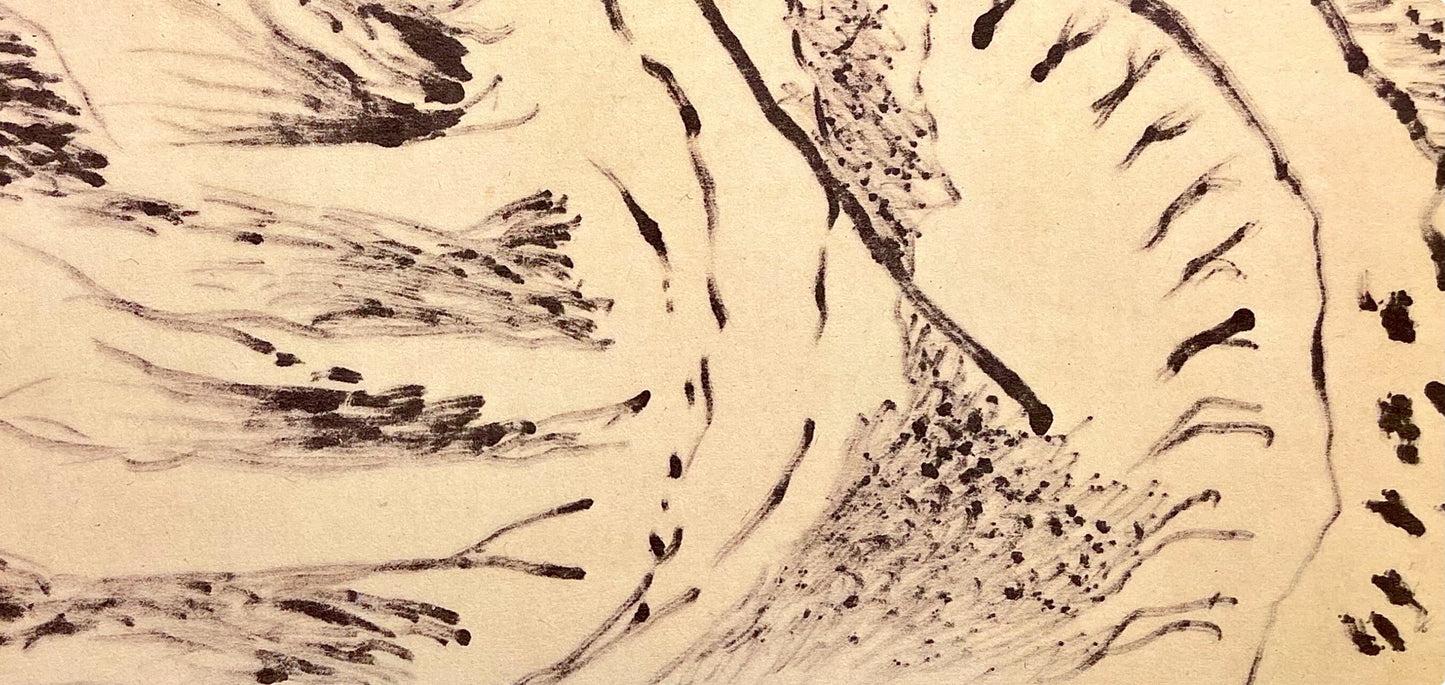 Jackson Pollock, Composition, Jackson Pollock, The Last Sketchbook, Lithograph