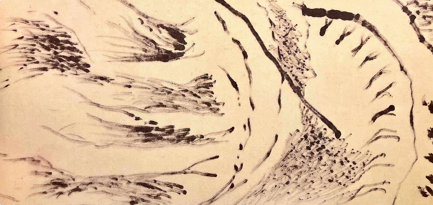 Jackson Pollock, Composition, Jackson Pollock, The Last Sketchbook, Lithograph