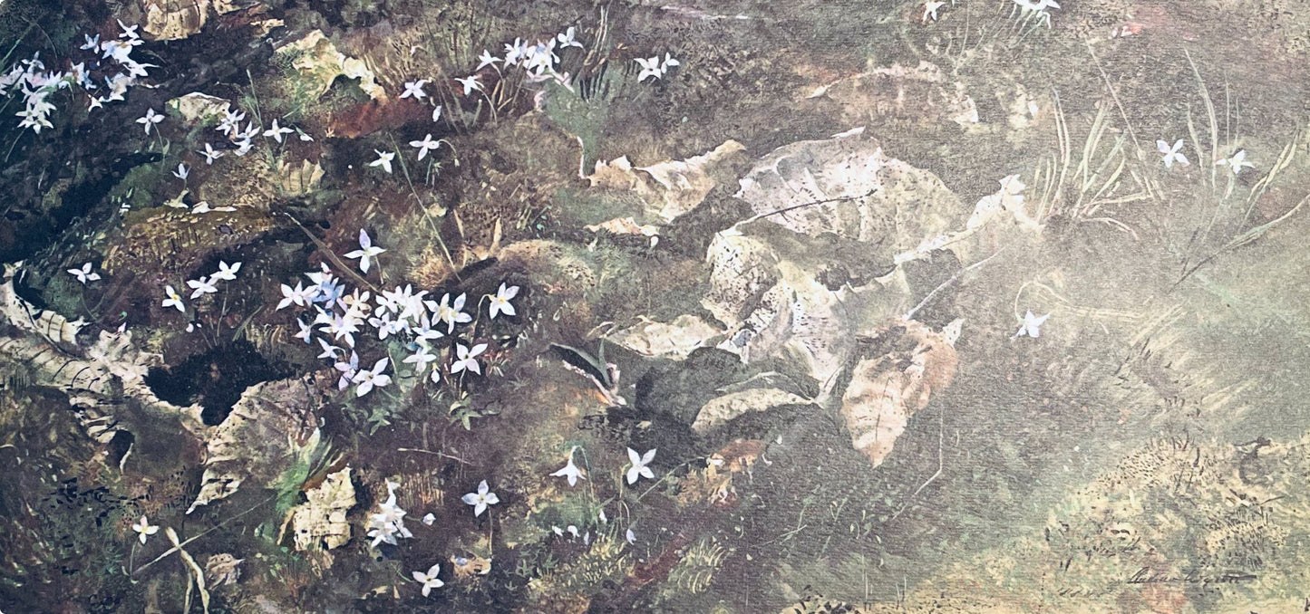 Andrew Wyeth, Quaker Ladies, The Four Seasons, Lithograph