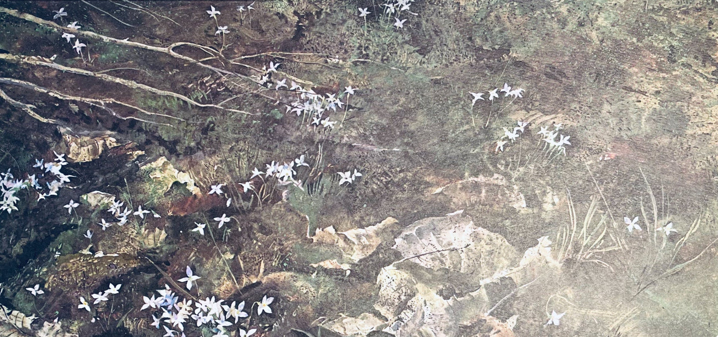 Andrew Wyeth, Quaker Ladies, The Four Seasons, Lithograph