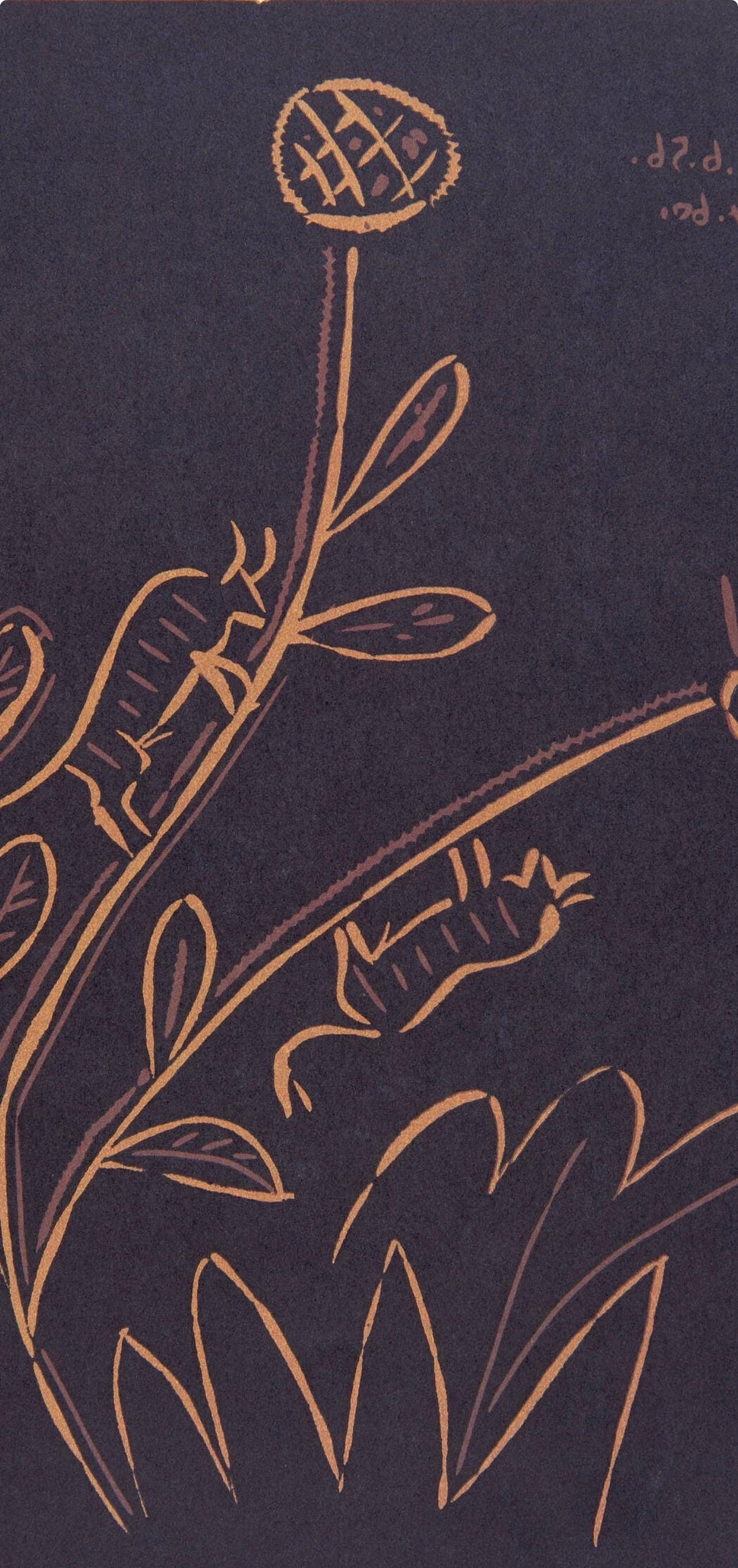 Pablo Picasso, Plant With Little Bulls (Orozco 214), Grabados Al Linleo, Linocut