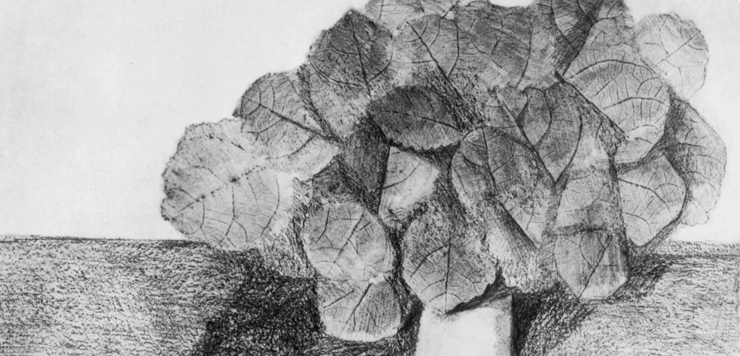 Max Ernst, Composition (Spies/Leppien 222), Histoire Naturelle, Lithograph