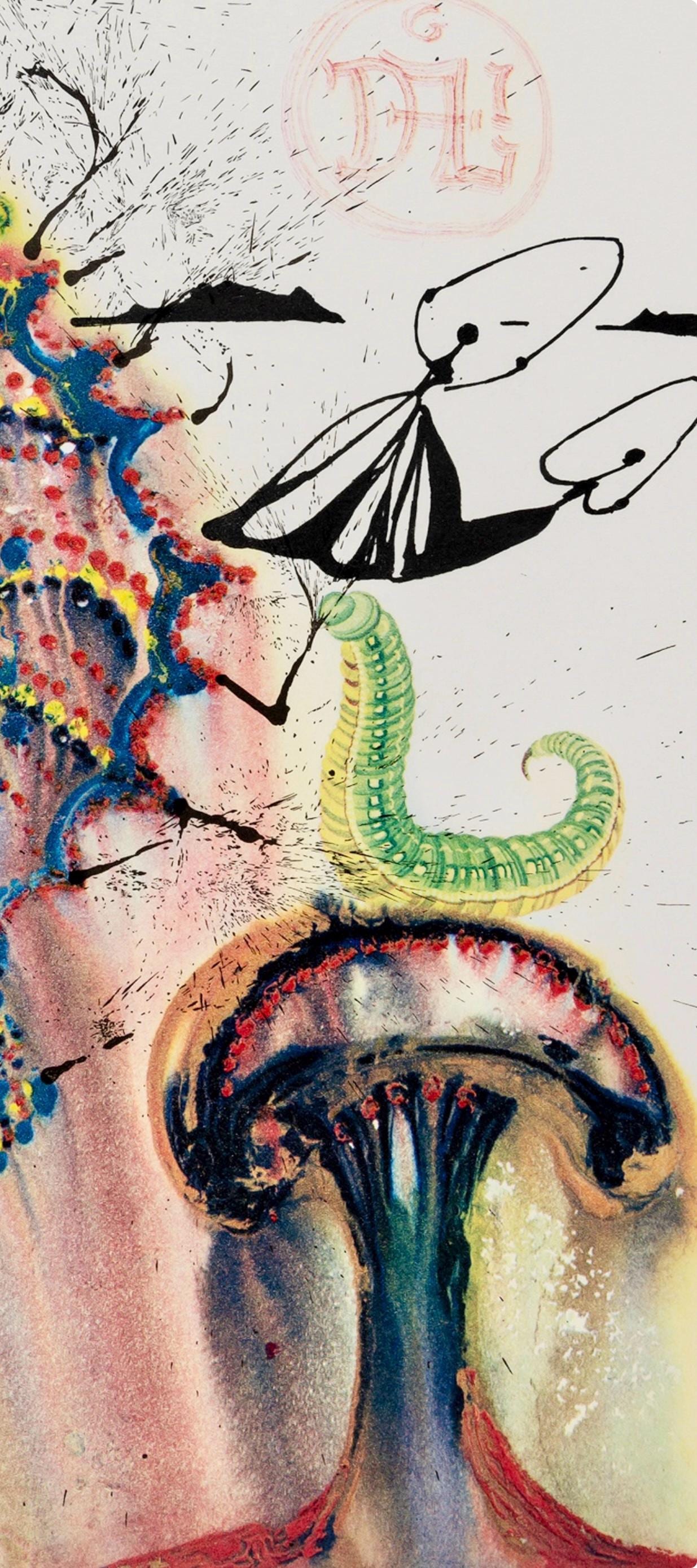 Salvador Dal, Composition (Field 69-5, A-M), Alice'S Adventures In Wonderland, Hliogravure