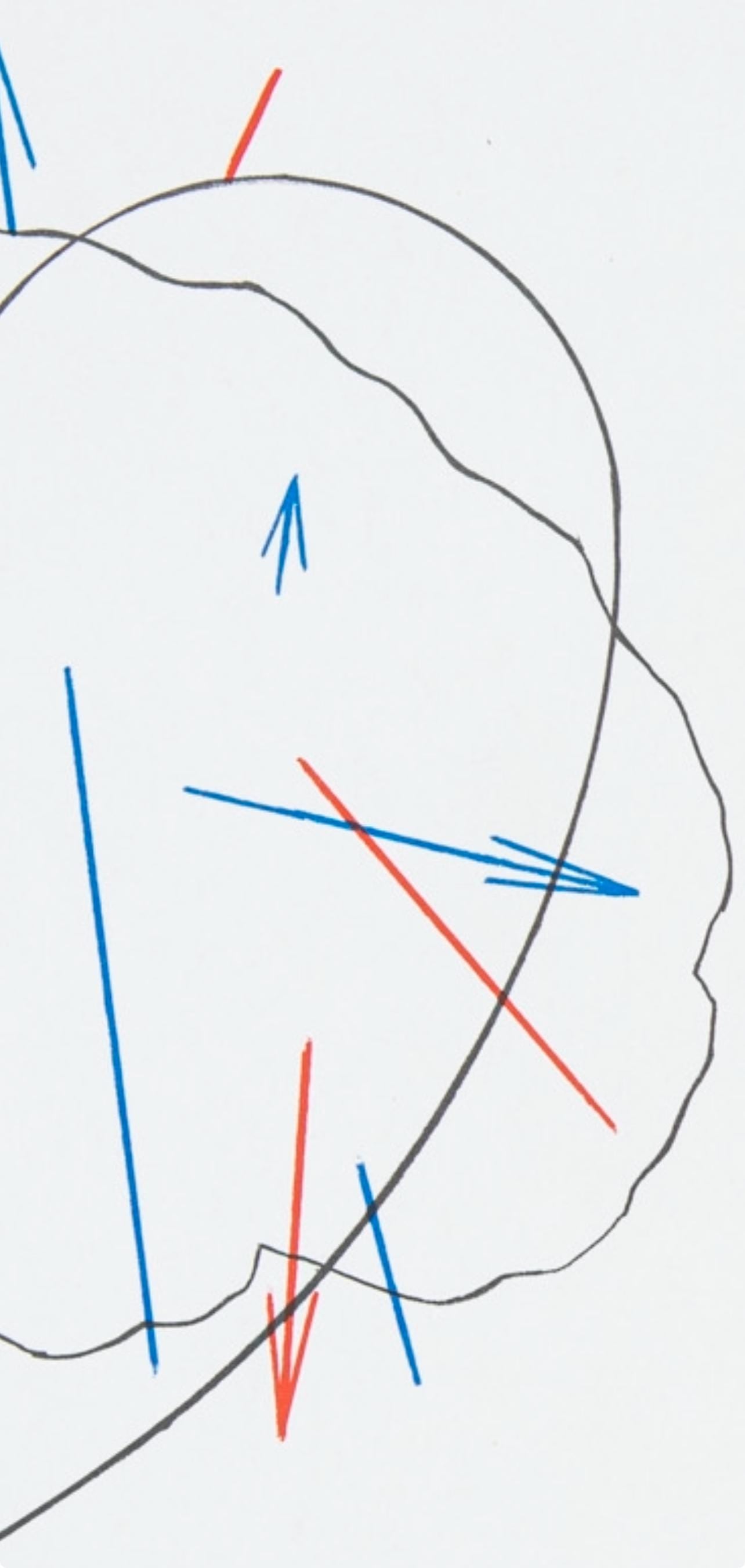 Shusaku Arakawa ?? ??, Composition, Derrire Le Miroir, Lithograph