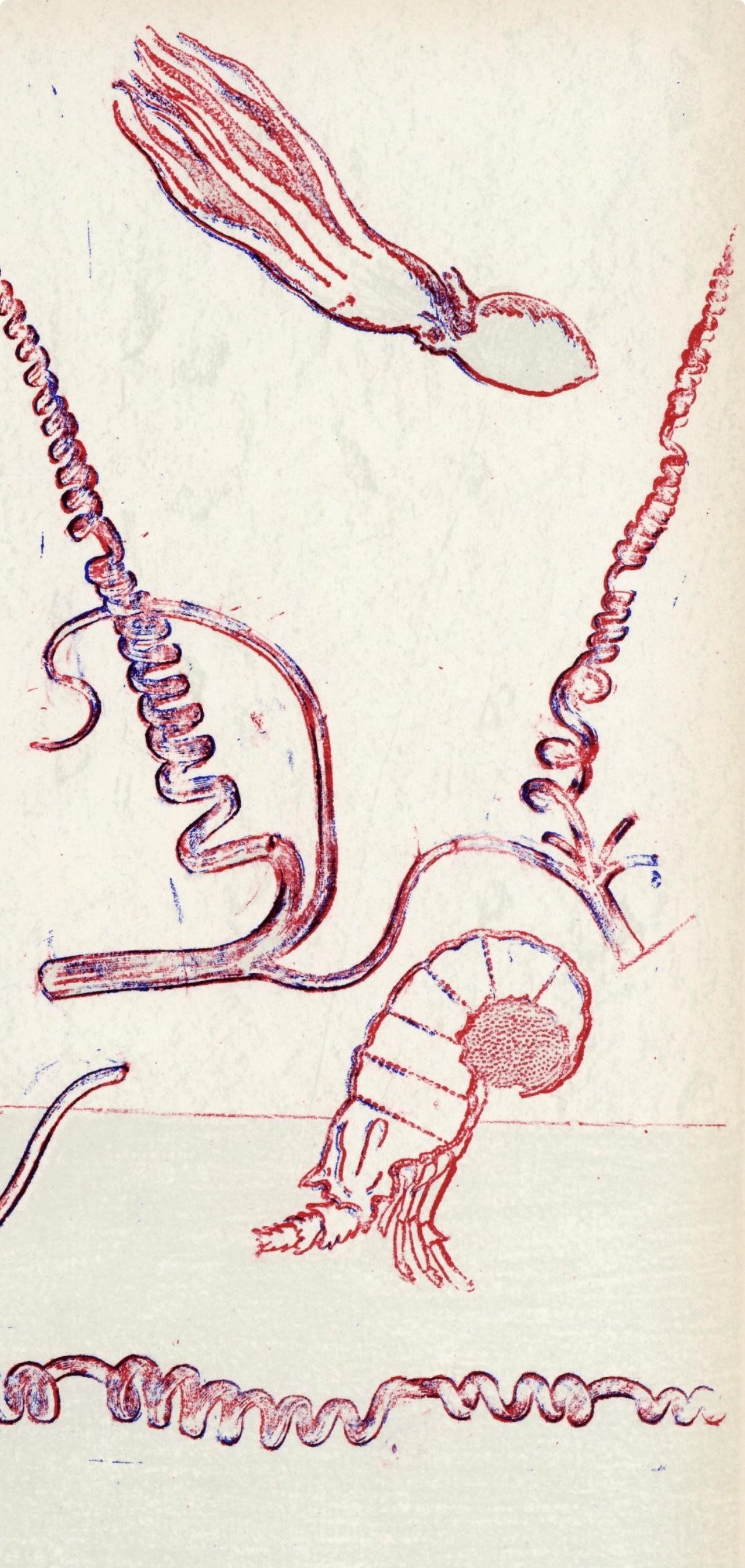 Max Ernst, Composition (Spies/Leppien 252), Xxe Sicle, Lithograph
