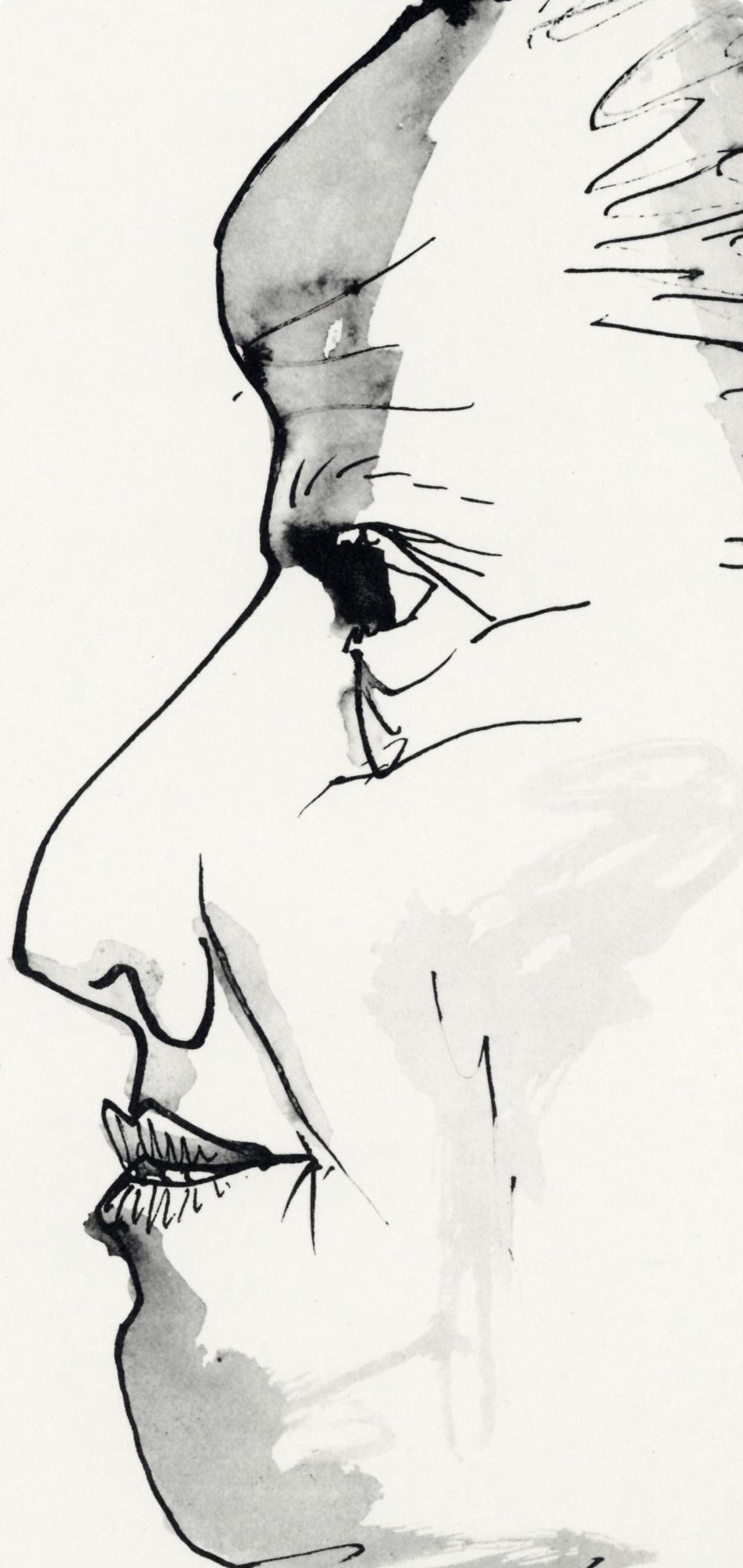Pablo Picasso, Profil De Vieille Femme, Trait Et Lavis (Cramer No. 84), 40 Dessins De Picasso En
