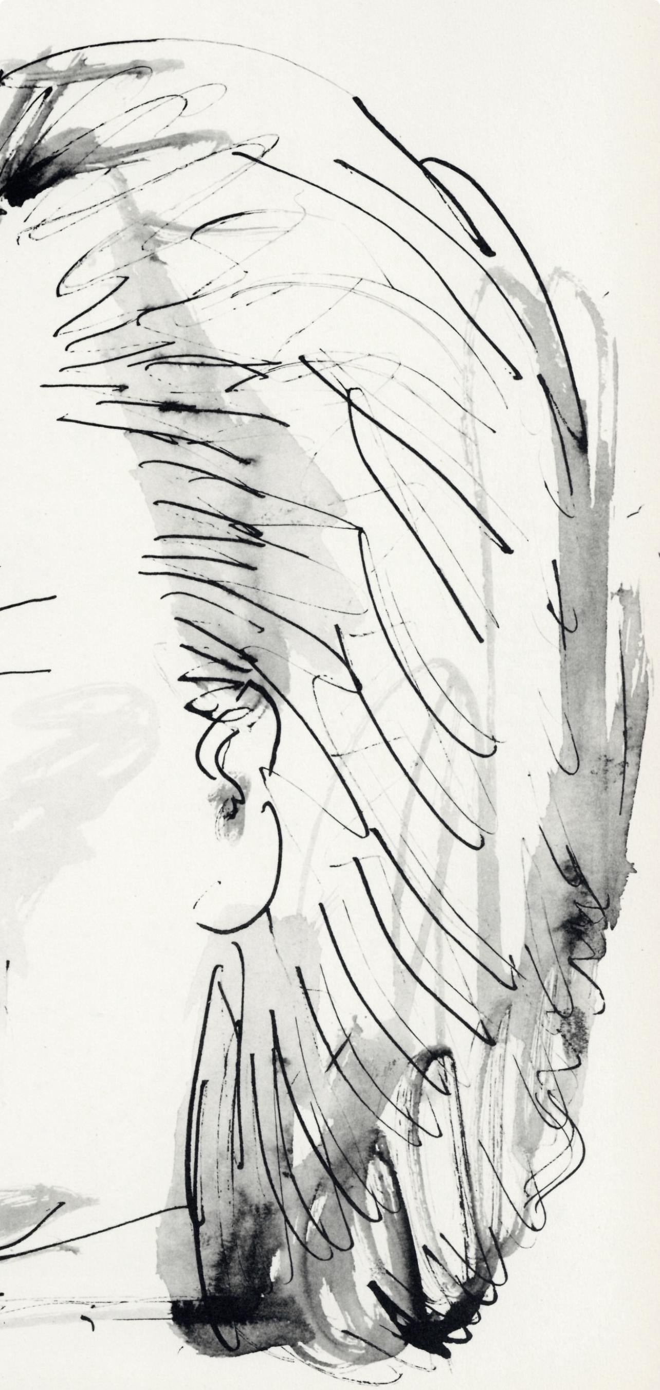 Pablo Picasso, Profil De Vieille Femme, Trait Et Lavis (Cramer No. 84), 40 Dessins De Picasso En