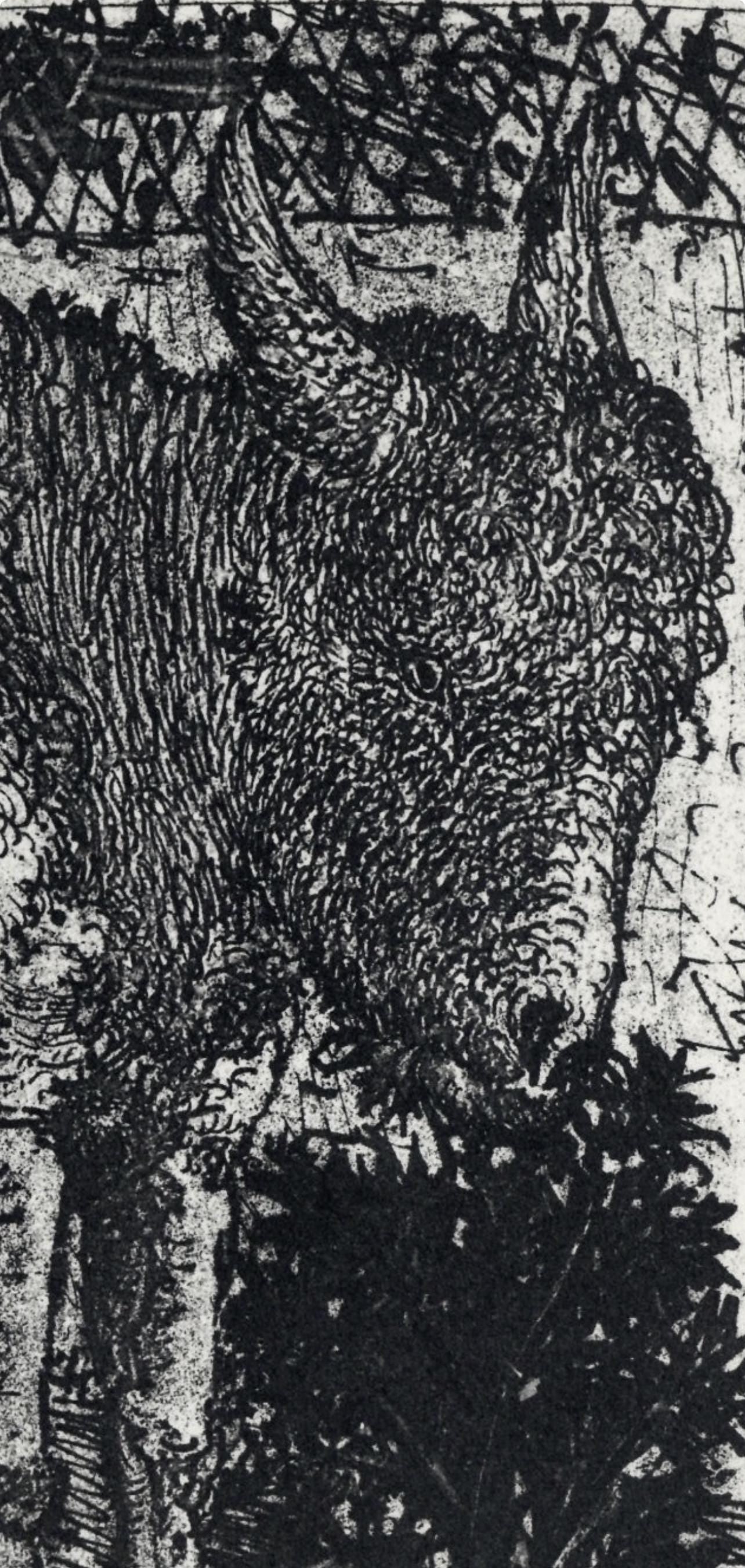 Pablo Picasso, Anes, Sur Une Planche Grave (Cramer No. 84), 40 Dessins De Picasso En Marge Du