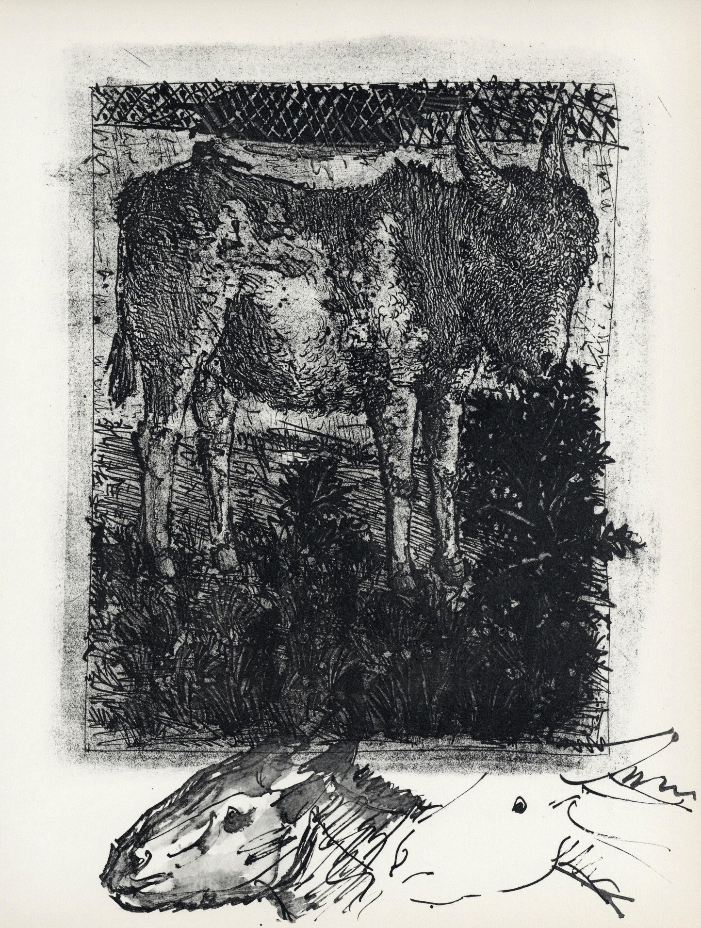 Pablo Picasso, Anes, Sur Une Planche Grave (Cramer No. 84), 40 Dessins De Picasso En Marge Du