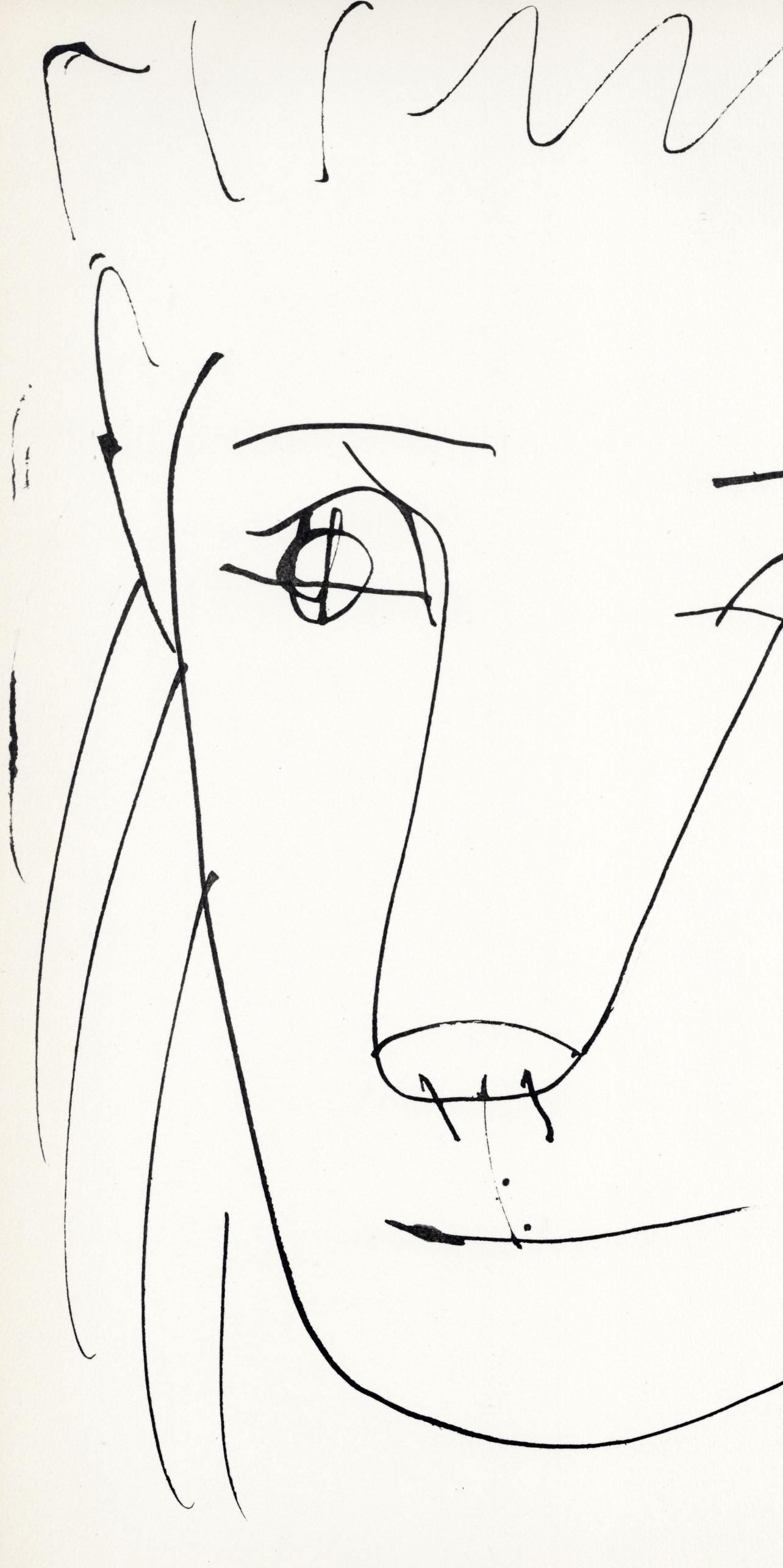 Pablo Picasso, Tte De Lion (Cramer No. 84), 40 Dessins De Picasso En Marge Du Buffon, Lithograph