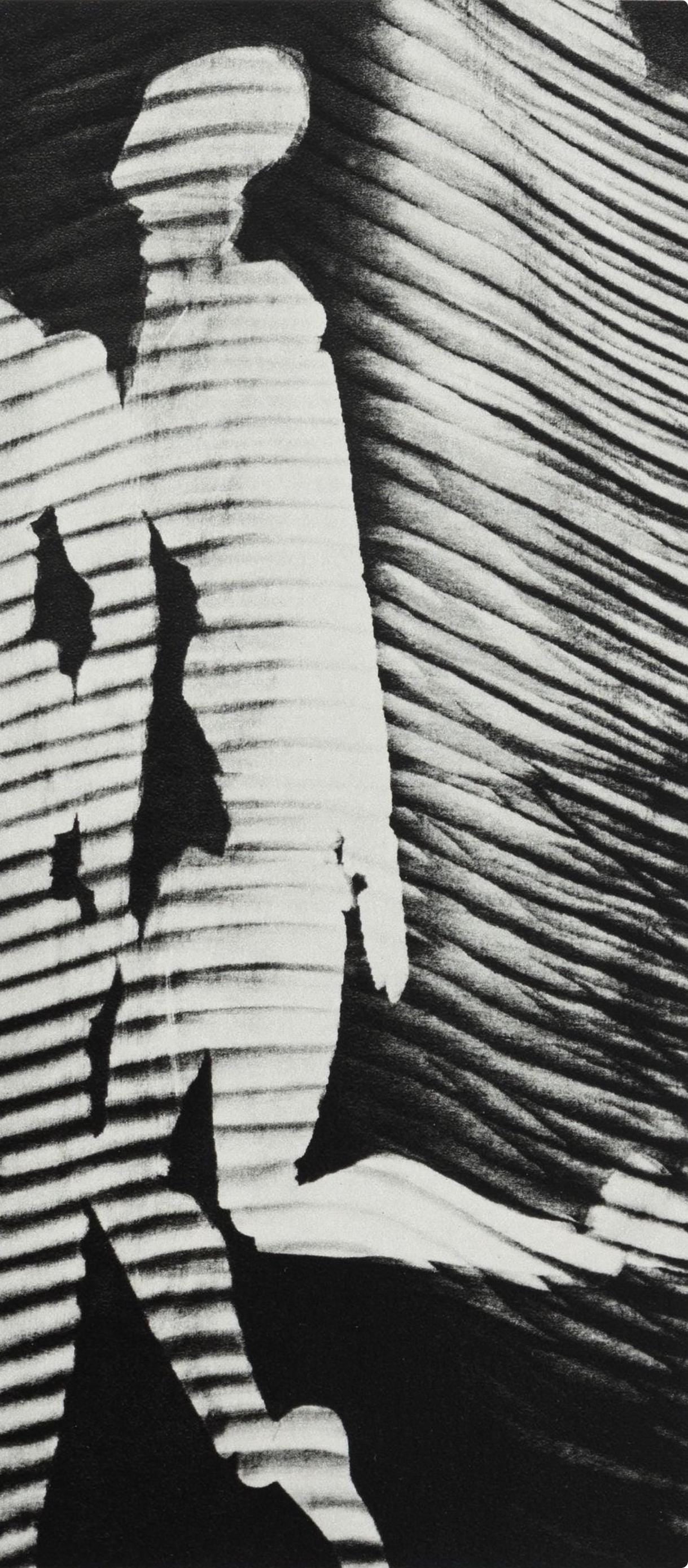 Man Ray, Composition, Man Ray, Electa Editrice Portfolios, Hliogravure