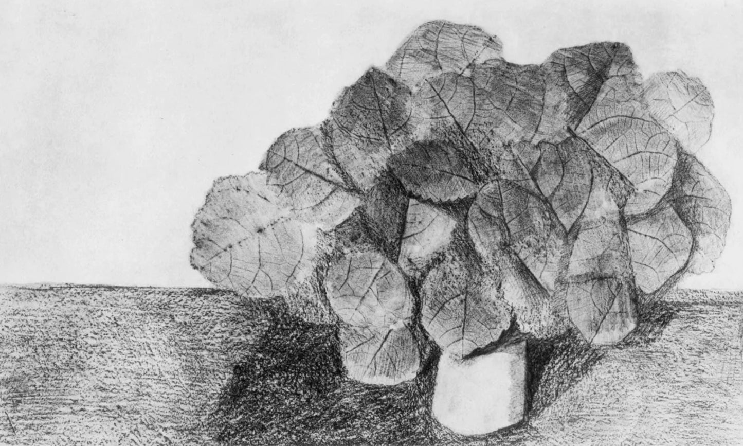 Max Ernst, Composition (Spies/Leppien 222), Histoire Naturelle, Lithograph