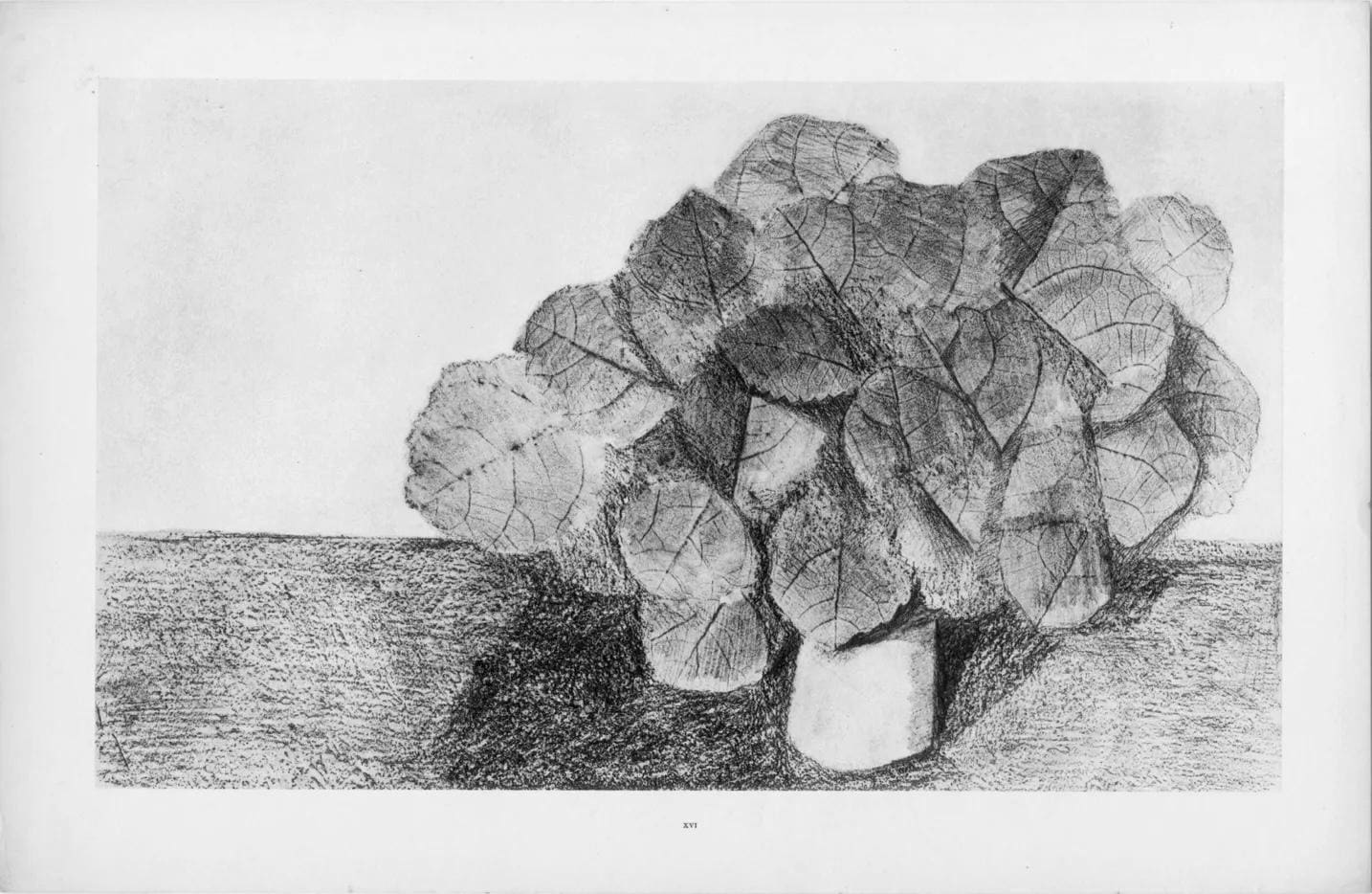 Max Ernst, Composition (Spies/Leppien 222), Histoire Naturelle, Lithograph