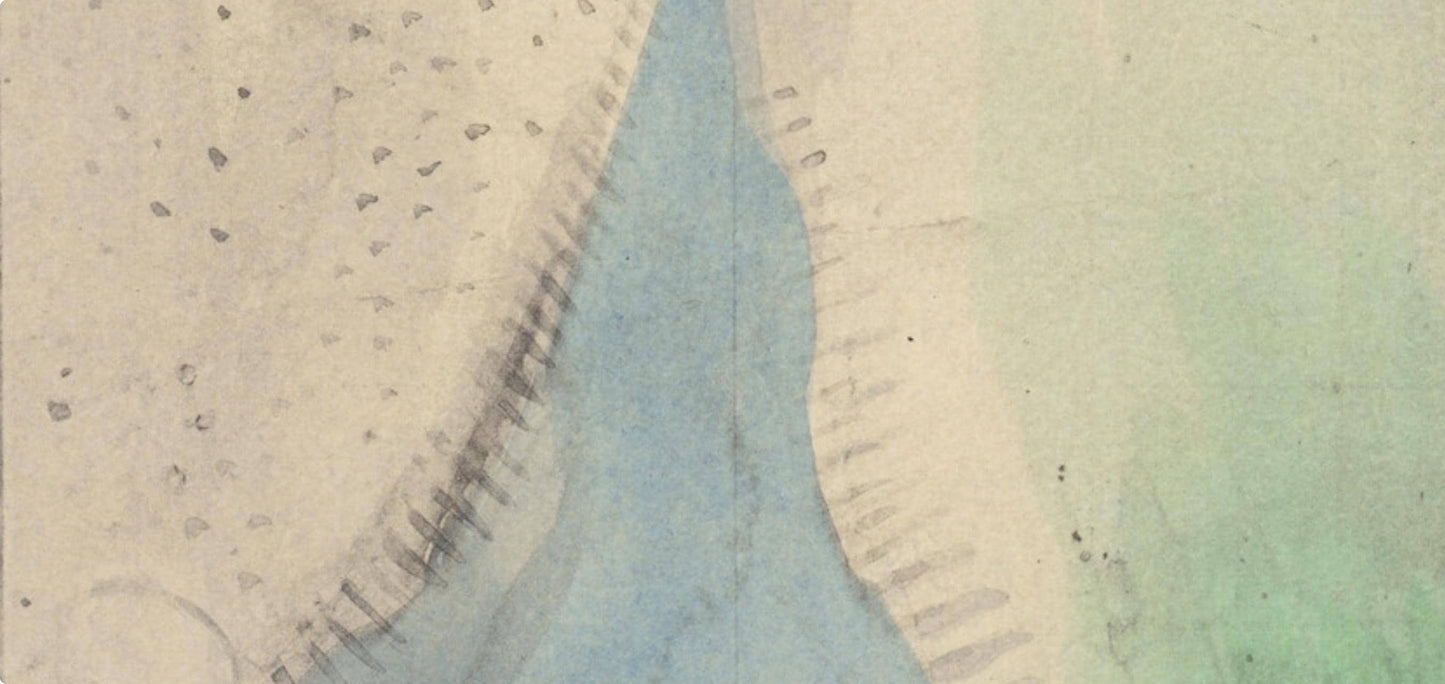 Marie Laurencin, Composition, Les Biches, Lithograph